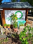 gfi GartenOase Herne gfi GartenOase Herne mit Blumen
