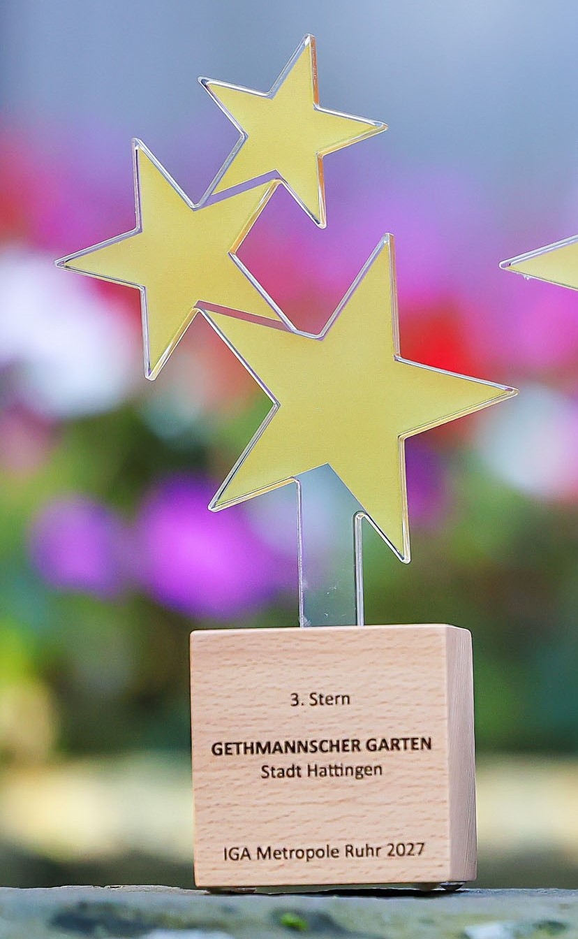 Dritter-Stern-Award © Rupert Oberhäuser