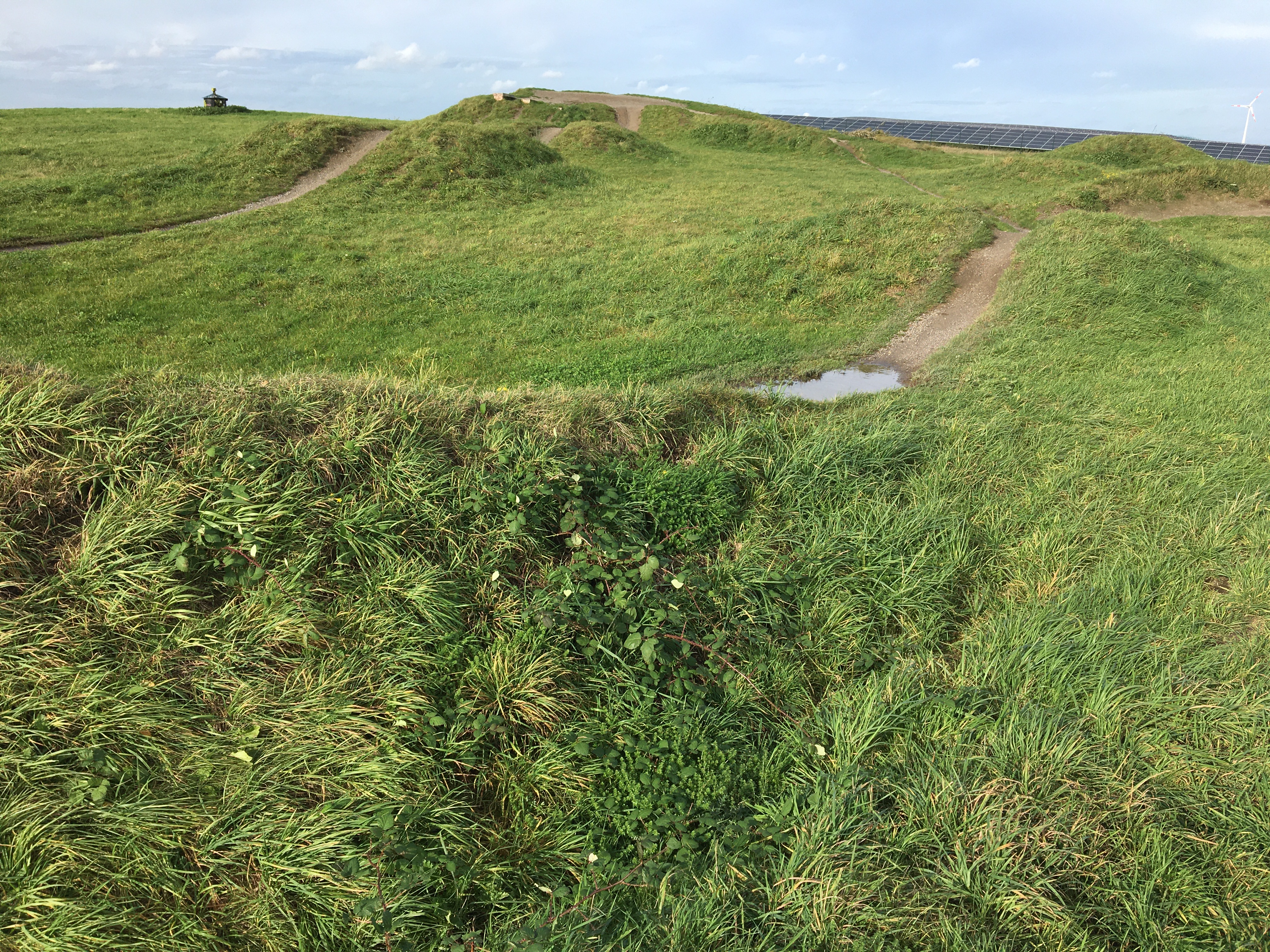 Fahrspuren der Mountainbikestrecke auf den Wiesen des Deusenbergs
