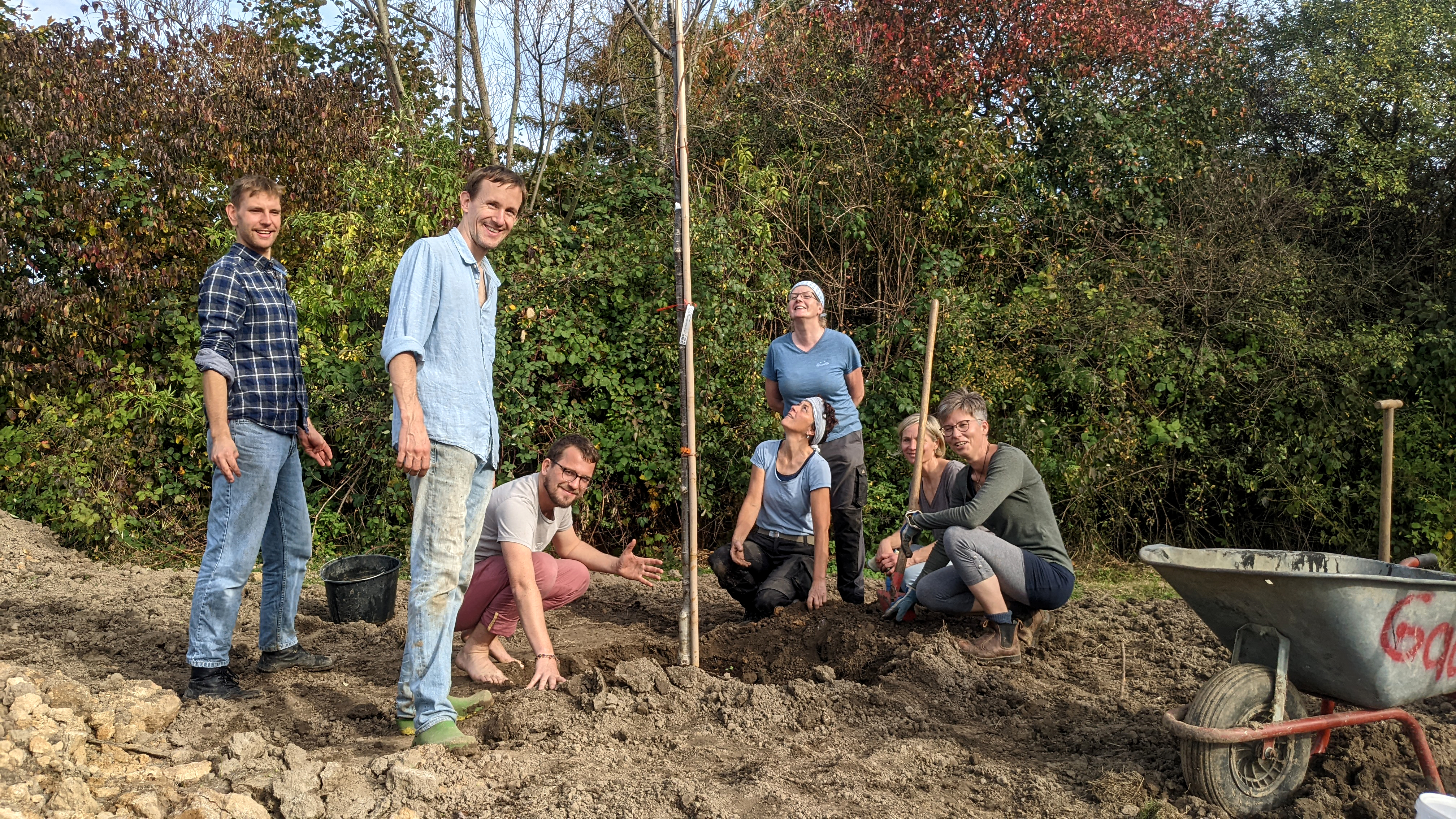 Menschern pflanzen einen Baum