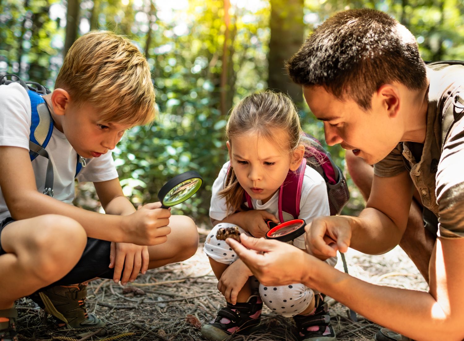 Umweltbildung Kinder im Wald inspizieren mit Lupen Naturmaterial.