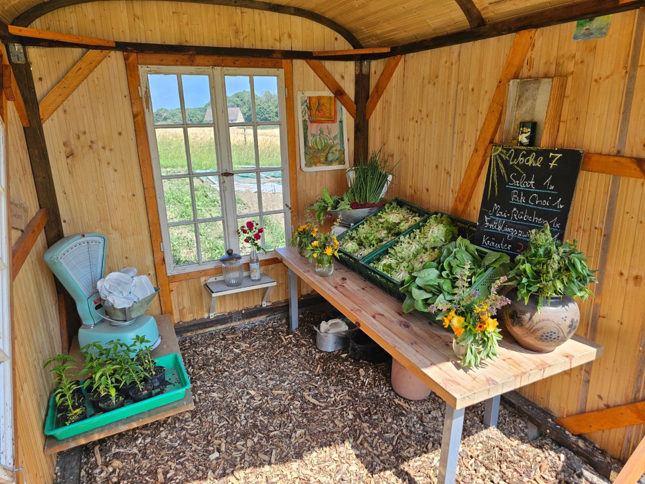 Fliederhof - Garten der Freundschaft