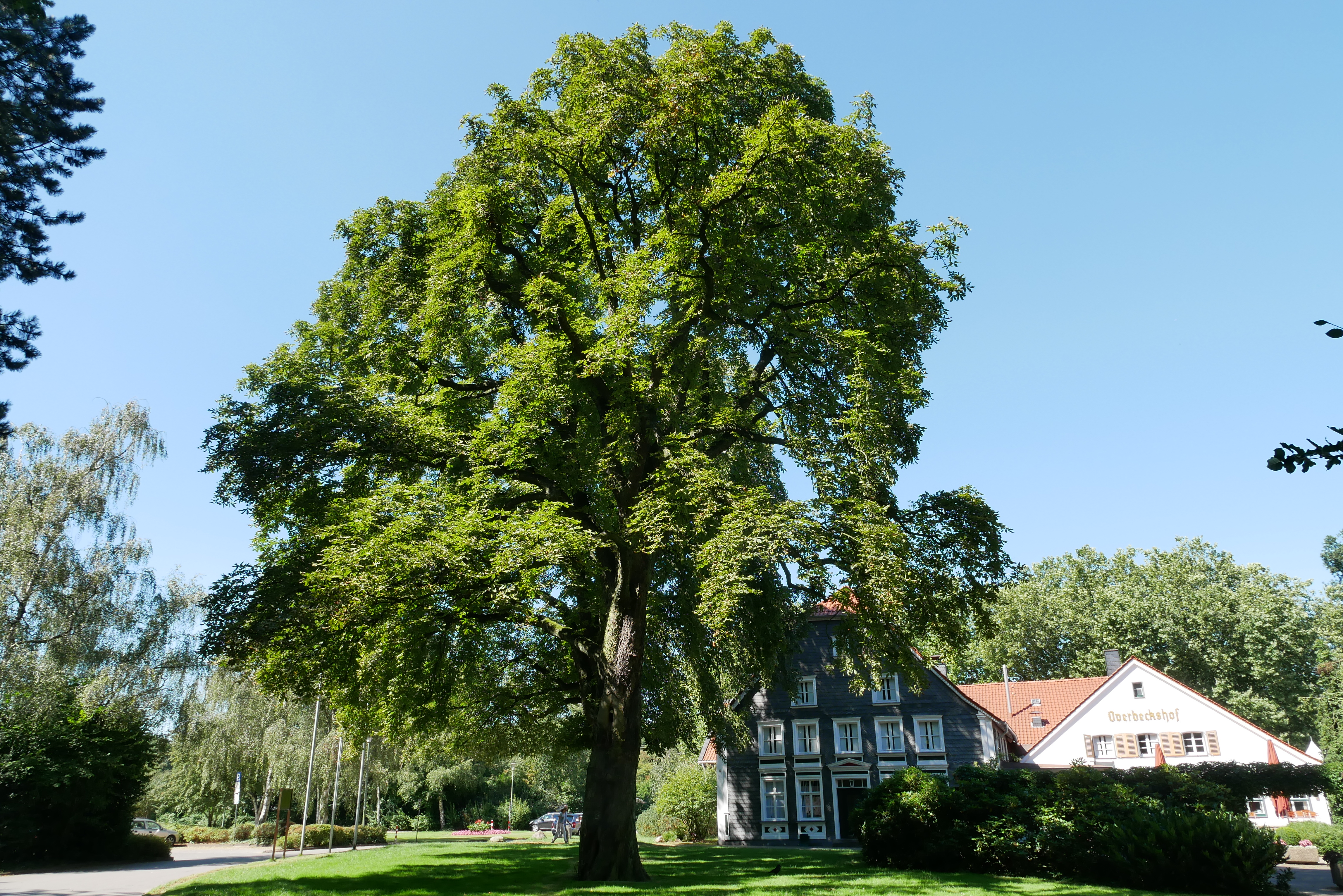 Gastronomie Overbeckshof © Stadt Bottrop Gastronomie Overbeckshof © Stadt Bottrop