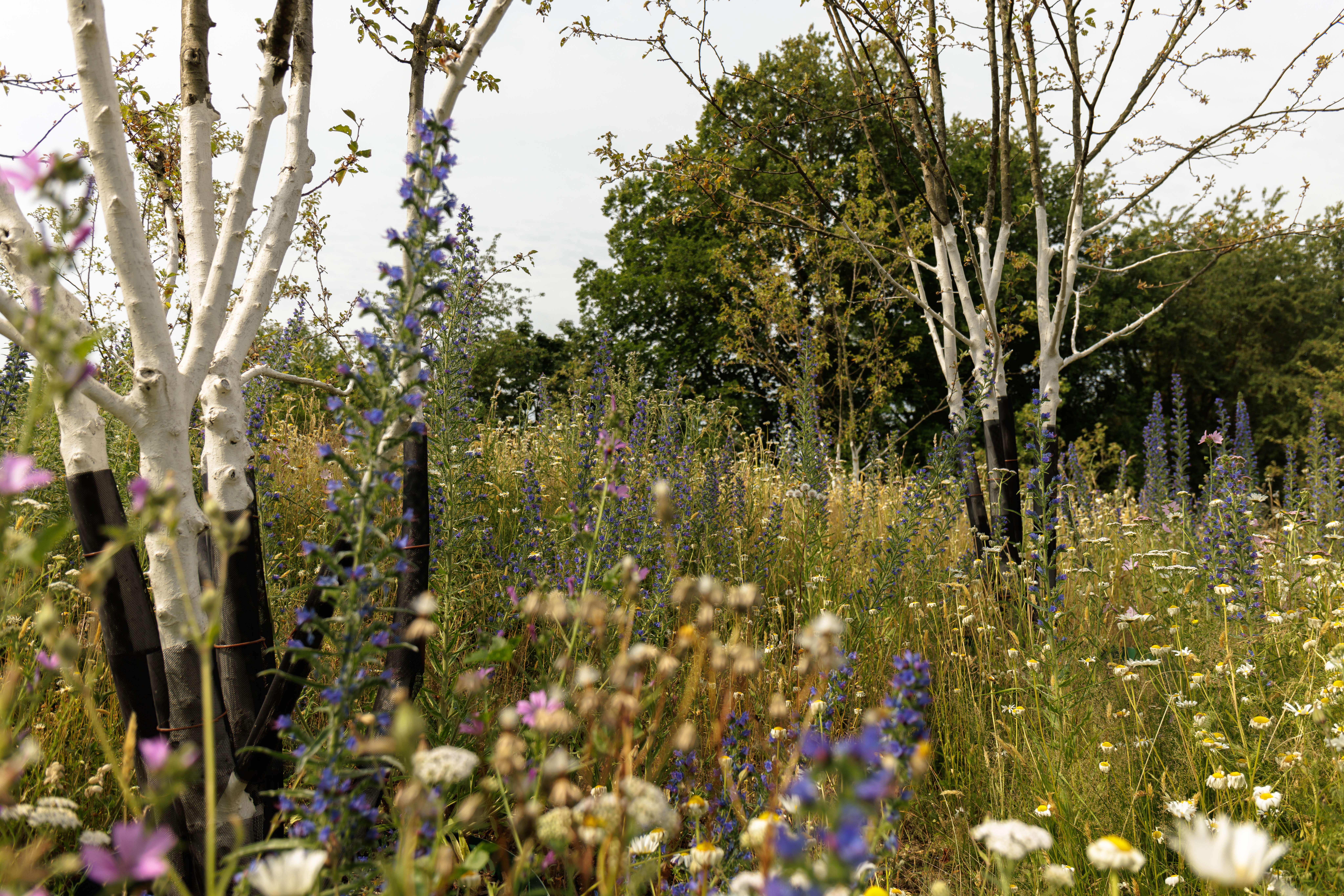 Revierpark Mattlerbusch, Foto: Andre Chrost Revierpark Mattlerbusch, Foto: Andre Chrost