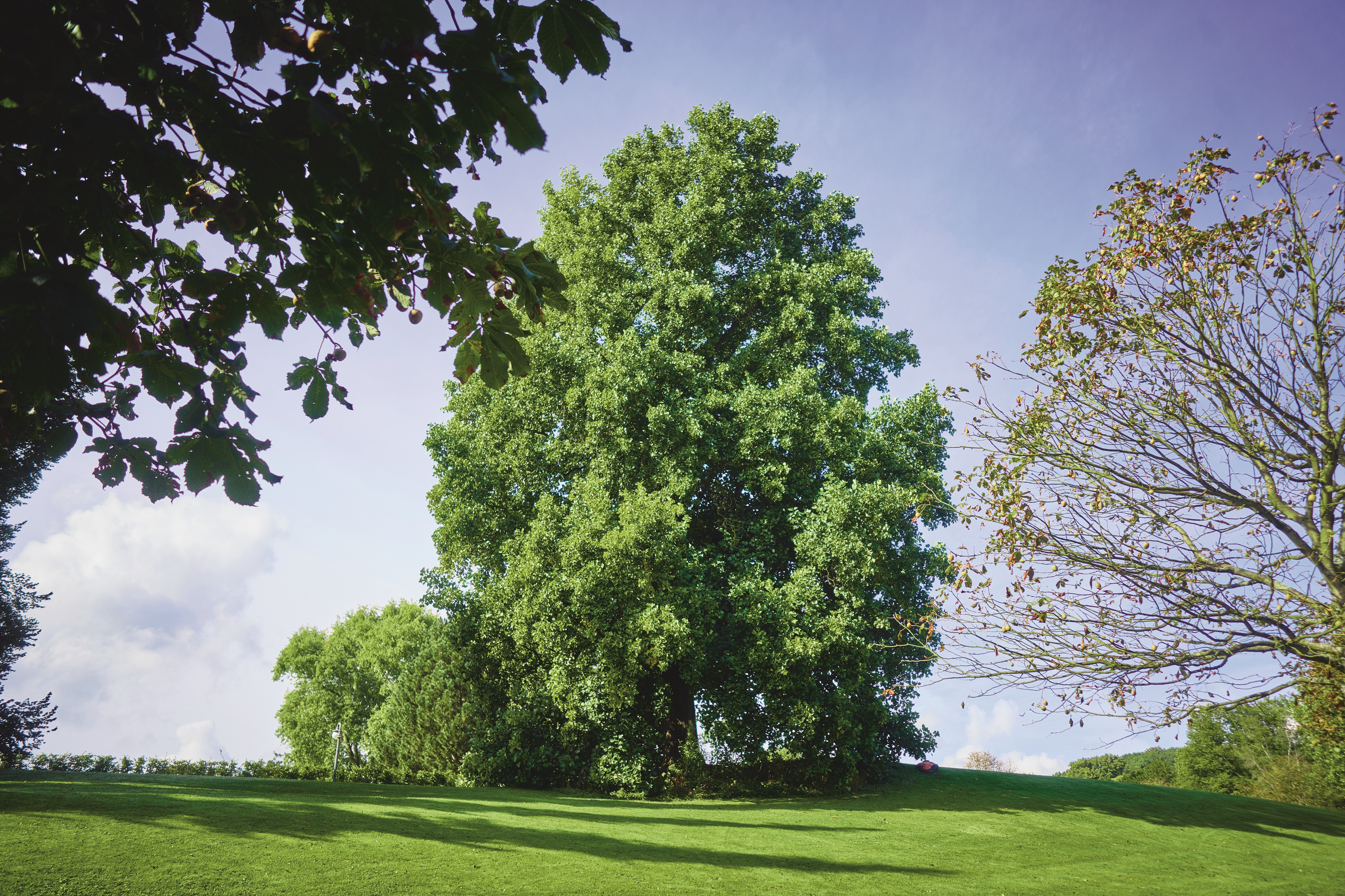 Hügelpark © Krupp-Stiftung, Peter Gwiazda