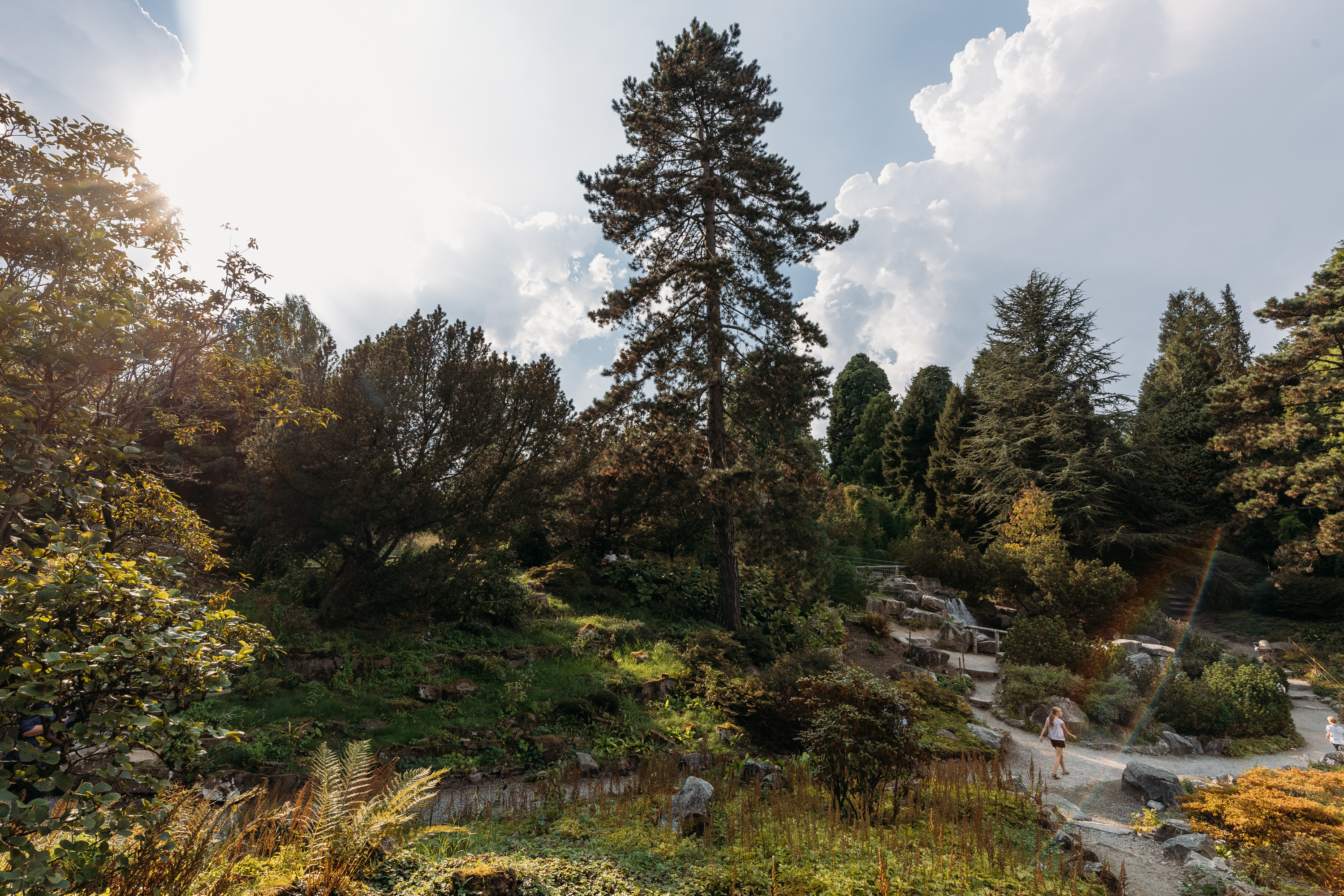 Grugapark © GGE, Stadt Essen Grugapark © GGE, Stadt Essen