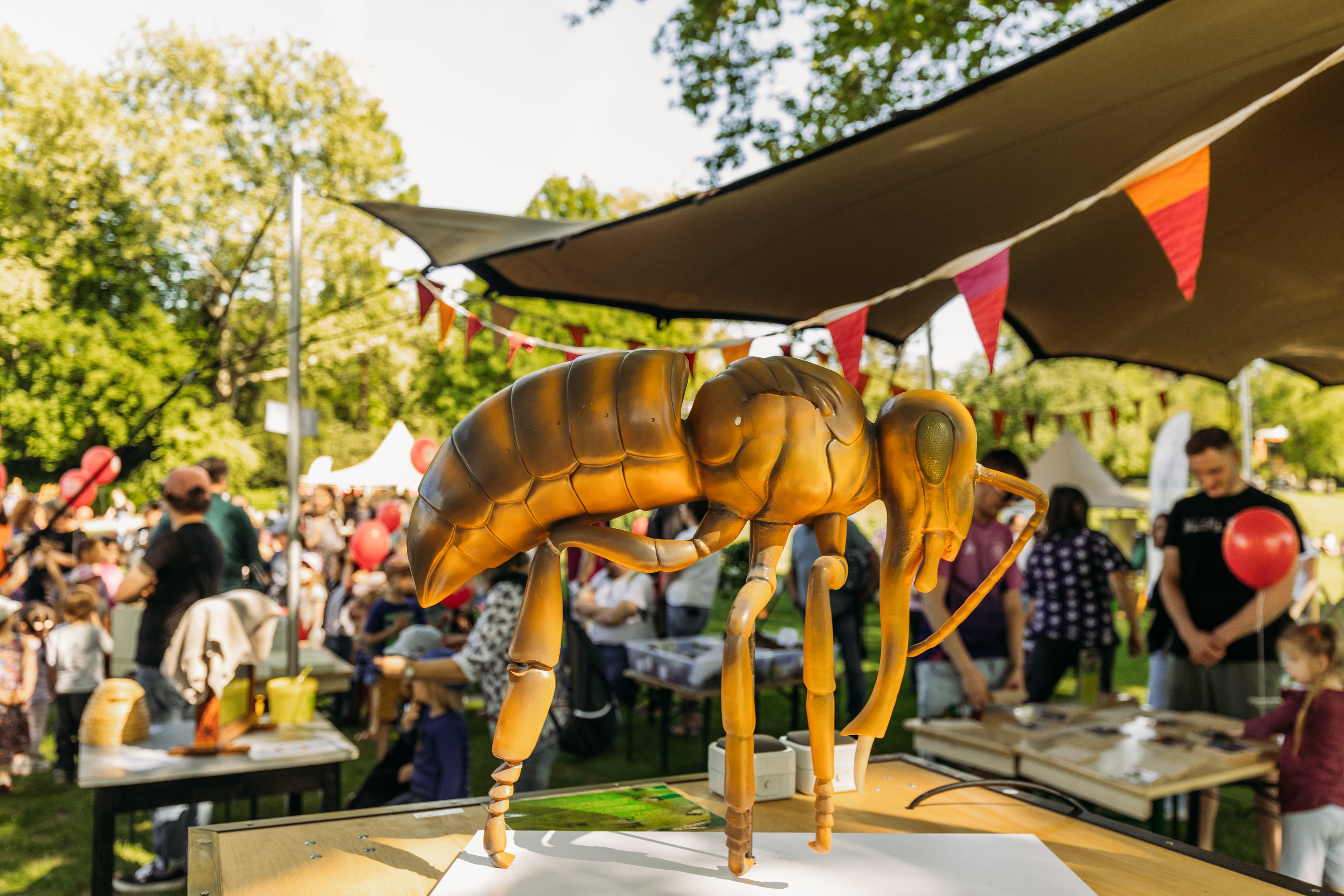 Grugapark 30 Jahre Schule Natur © GGE, Stadt Essen Grugapark 30 Jahre Schule Natur © GGE, Stadt Essen