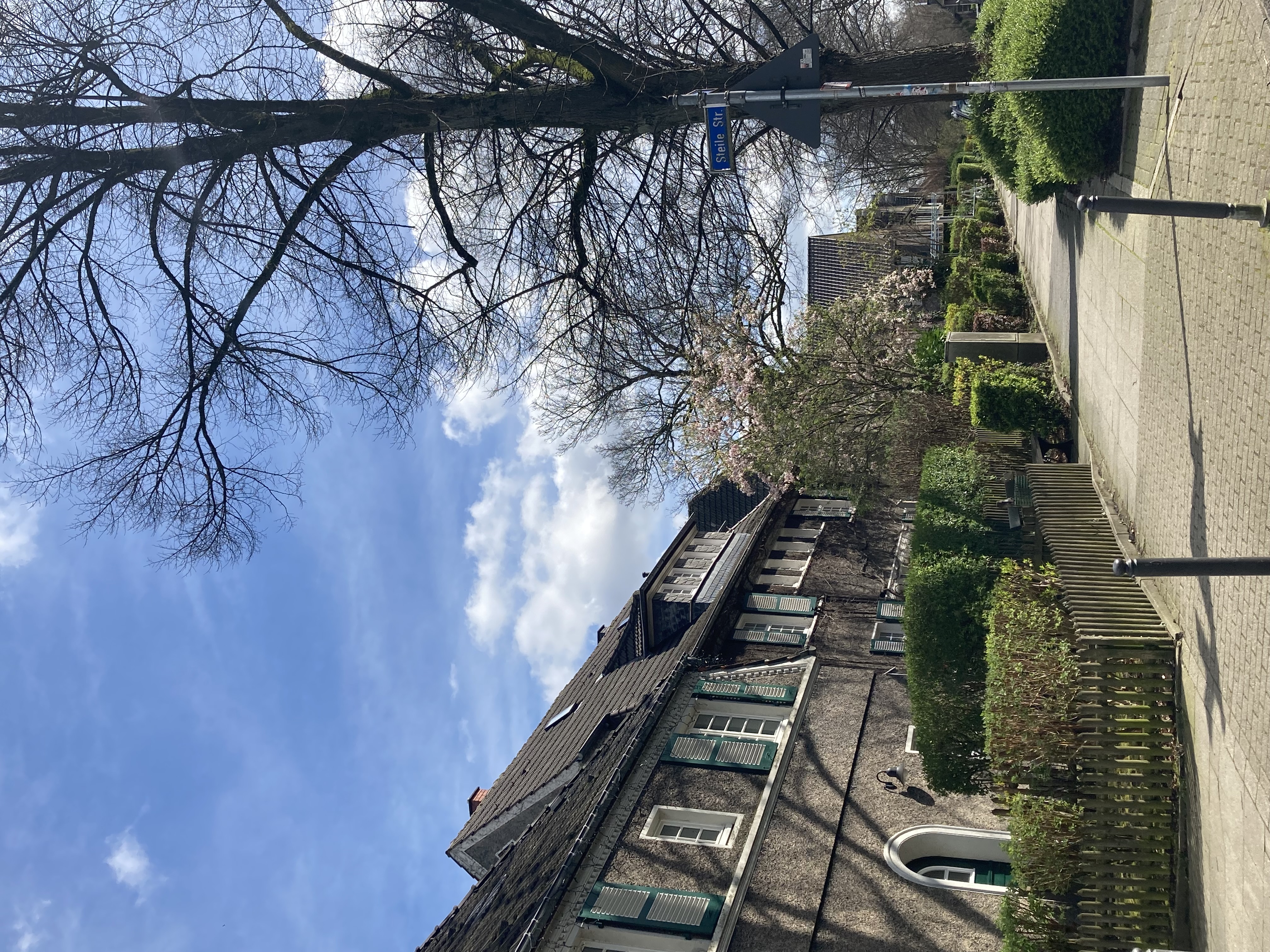 Straßenzug, Foto: IGA 2027