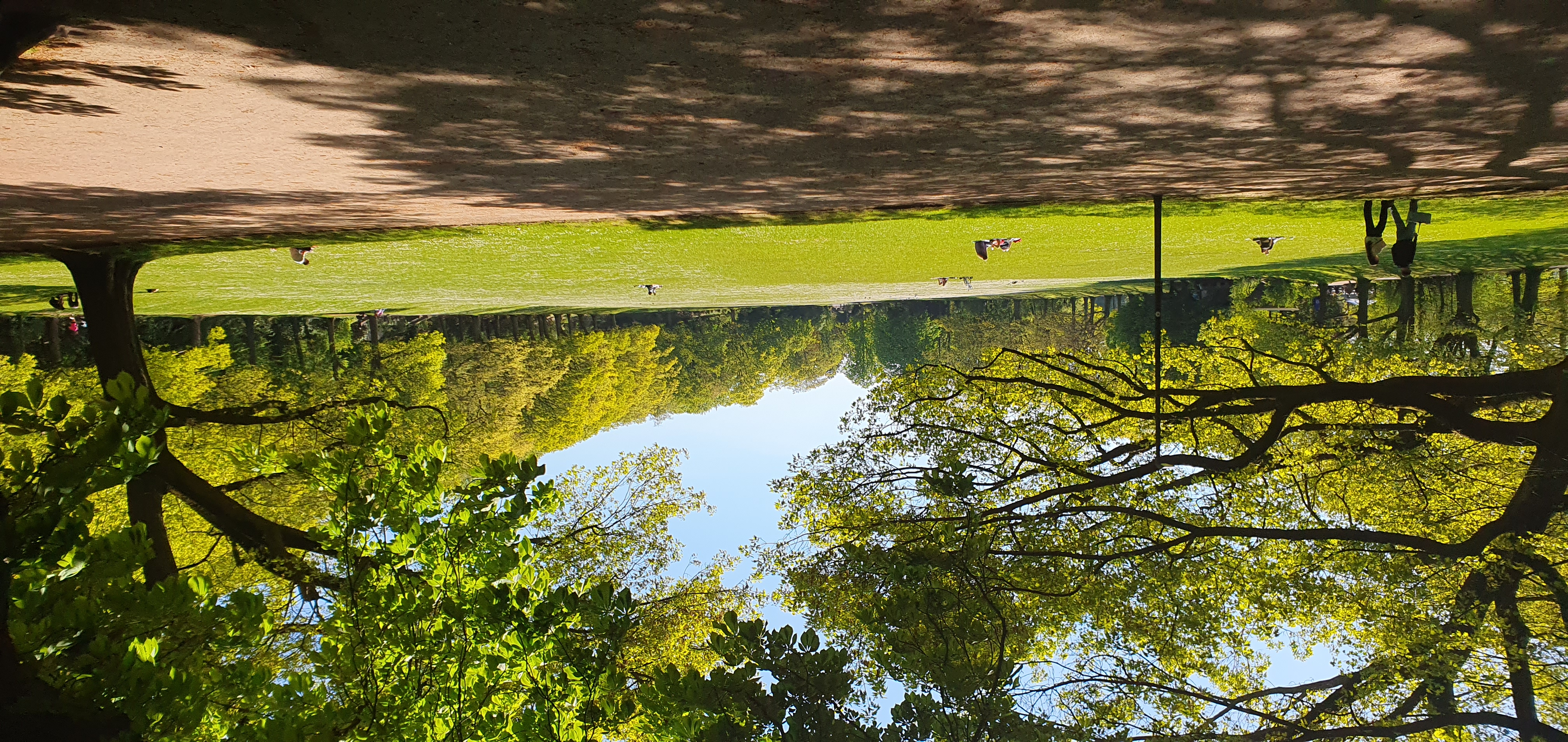 Berger Anlagen © Stadt Gelsenkirchen Berger Anlagen © Stadt Gelsenkirchen