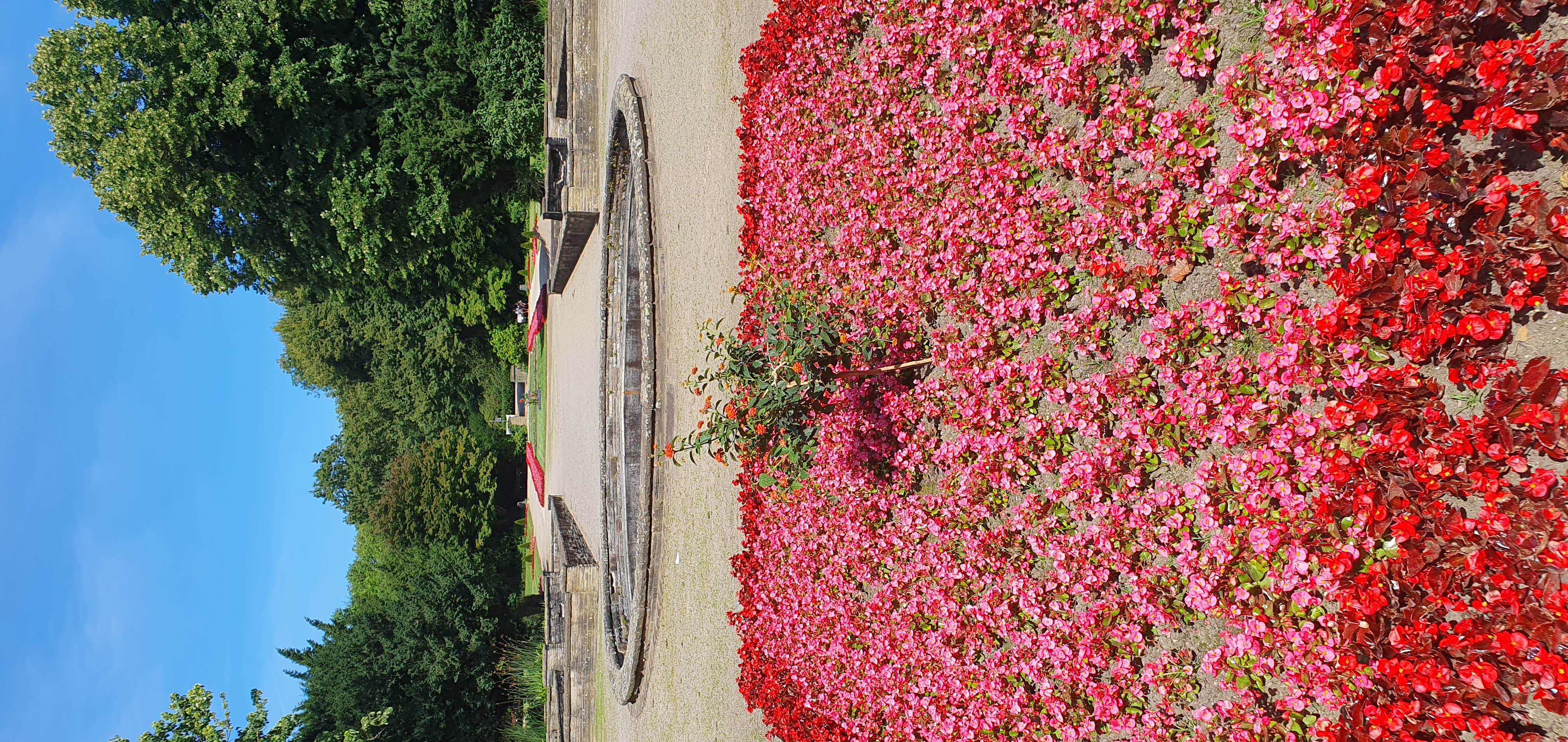 Stadtgarten © Stadt Gelsenkirchen Stadtgarten © Stadt Gelsenkirchen