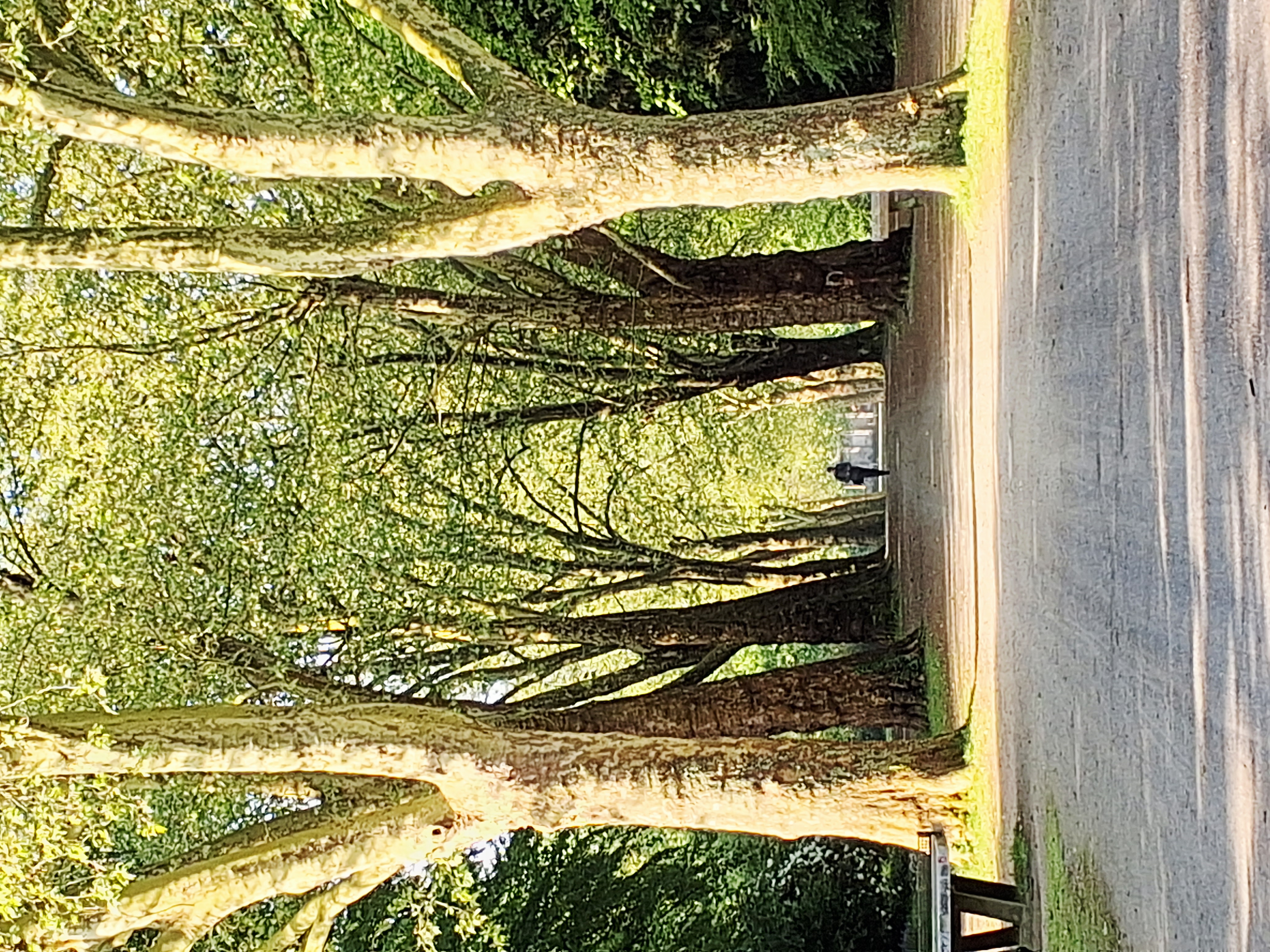 Stadtgarten © Stadt Gelsenkirchen Stadtgarten © Stadt Gelsenkirchen