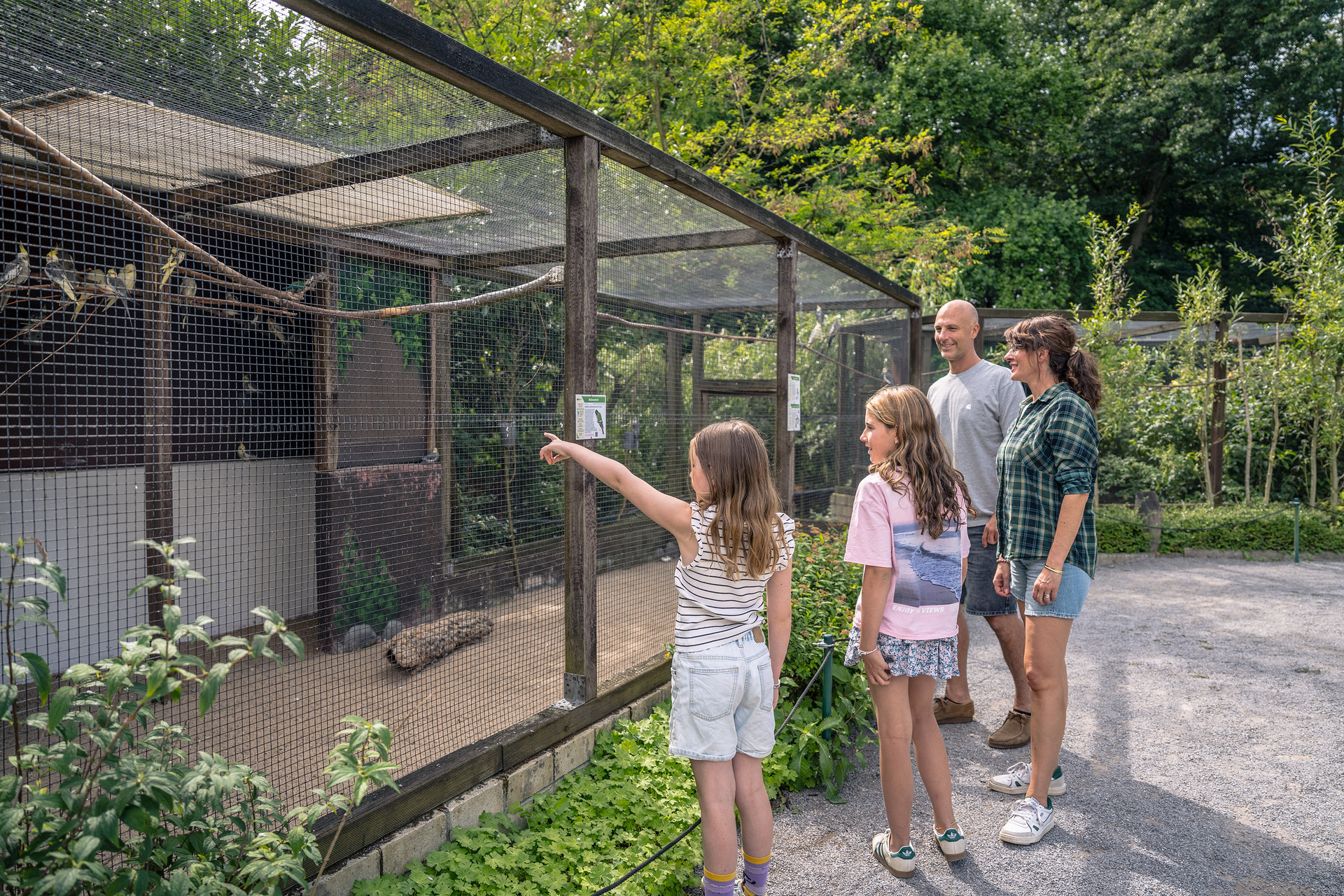 Vogelinsel © Dennis Stratmann Vogelinsel © Dennis Stratmann