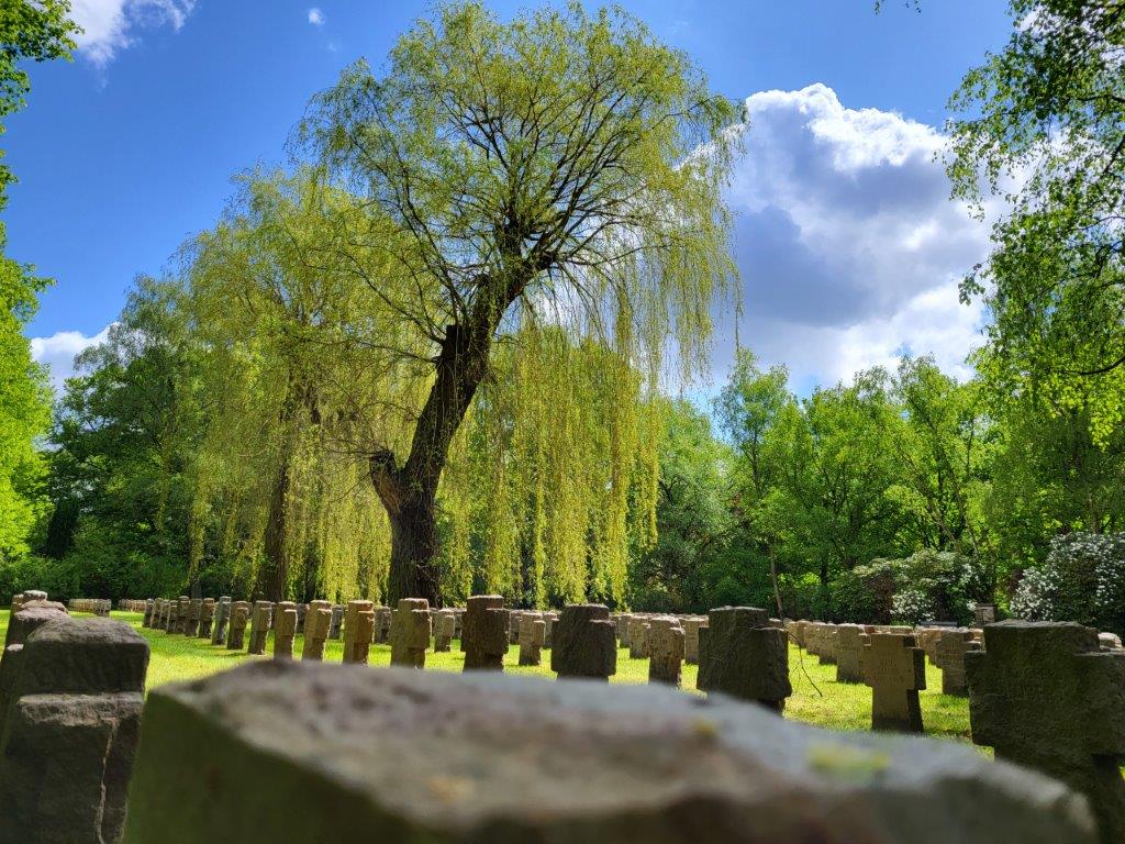 Kriegsgräber auf dem Hauptfriedhof Dortmund, Foto: Stadt Dortmund
