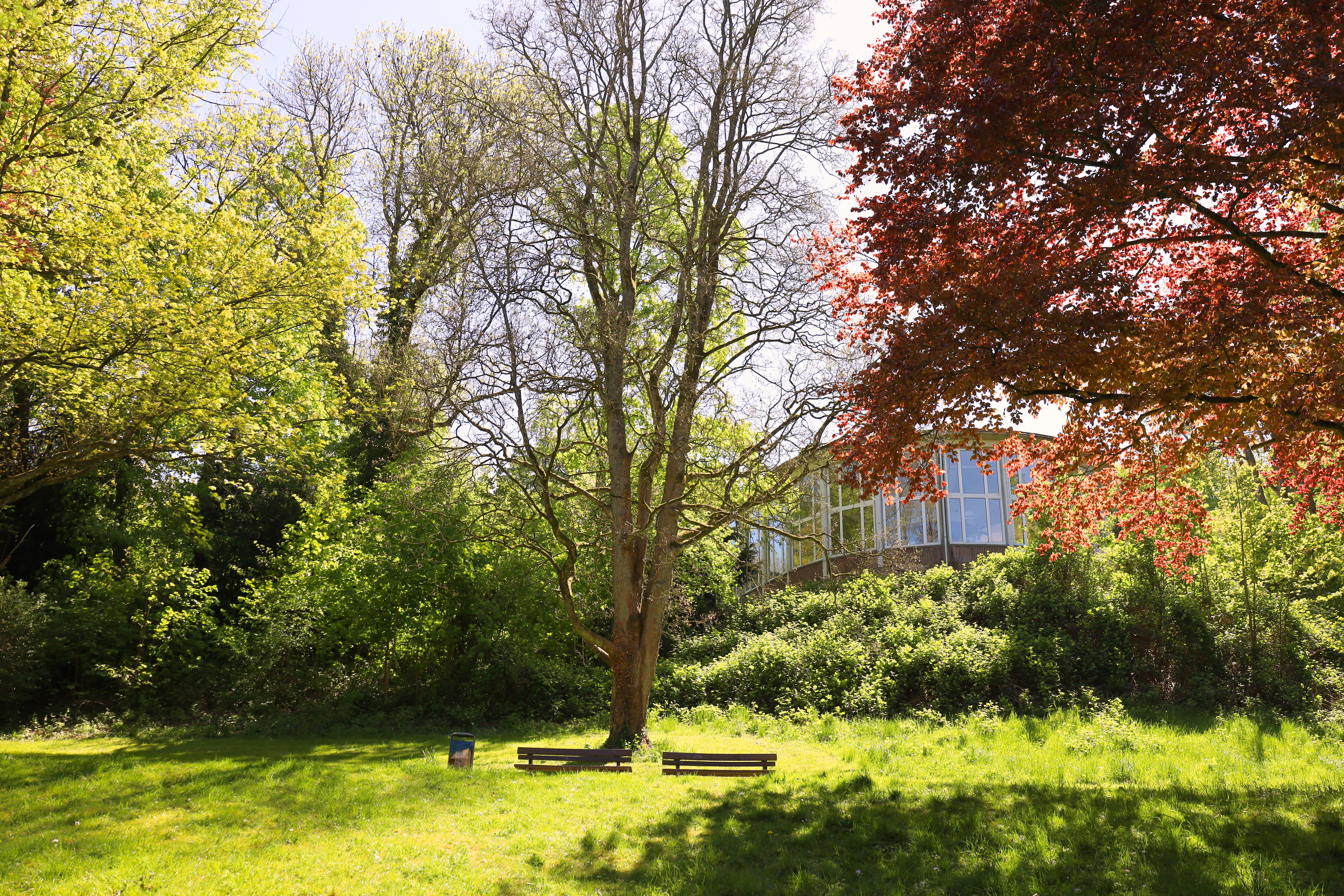 Stadtgarten © Salome Hess, Stadt Hagen