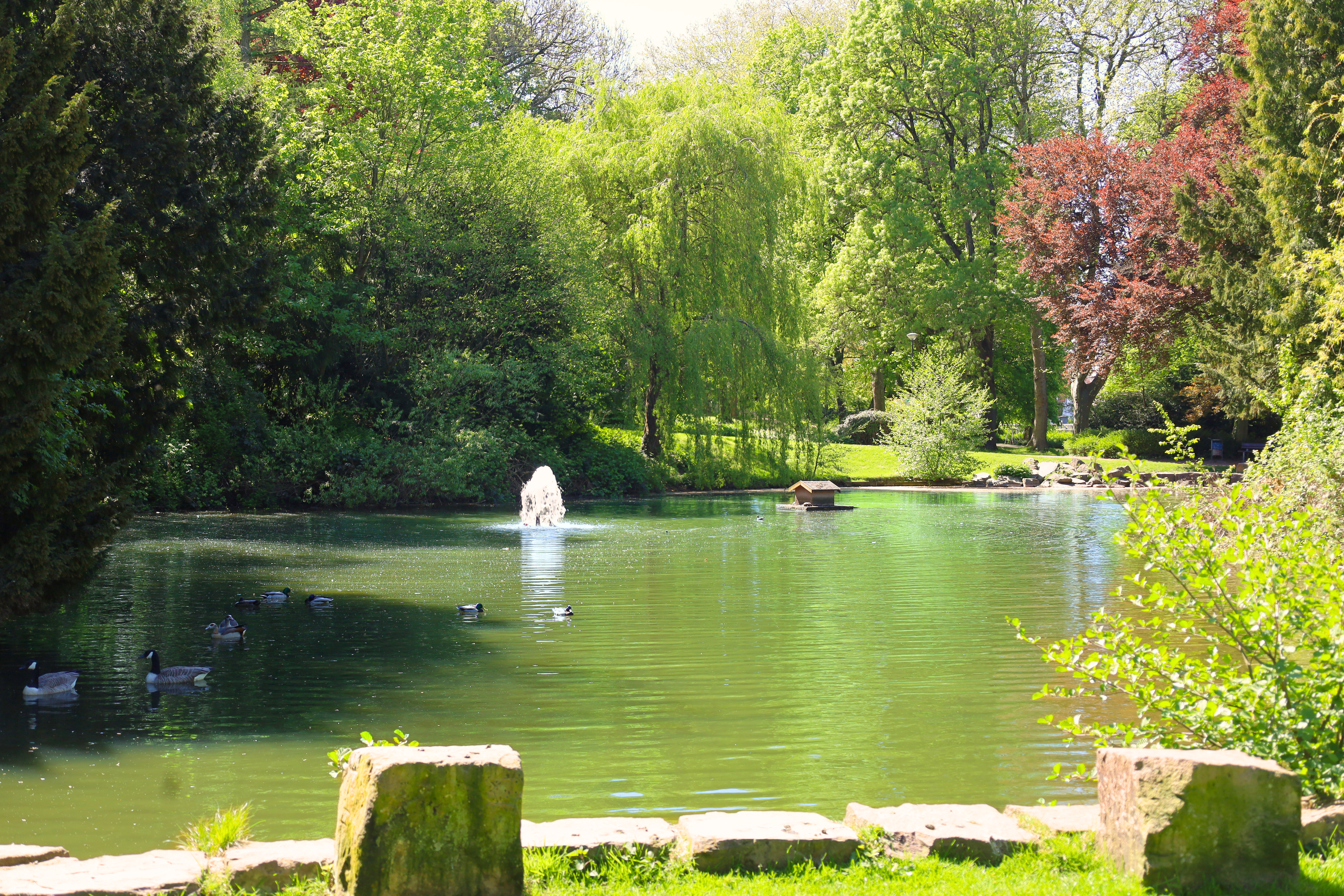 Stadtgarten © Salome Hess, Stadt Hagen Stadtgarten © Salome Hess, Stadt Hagen