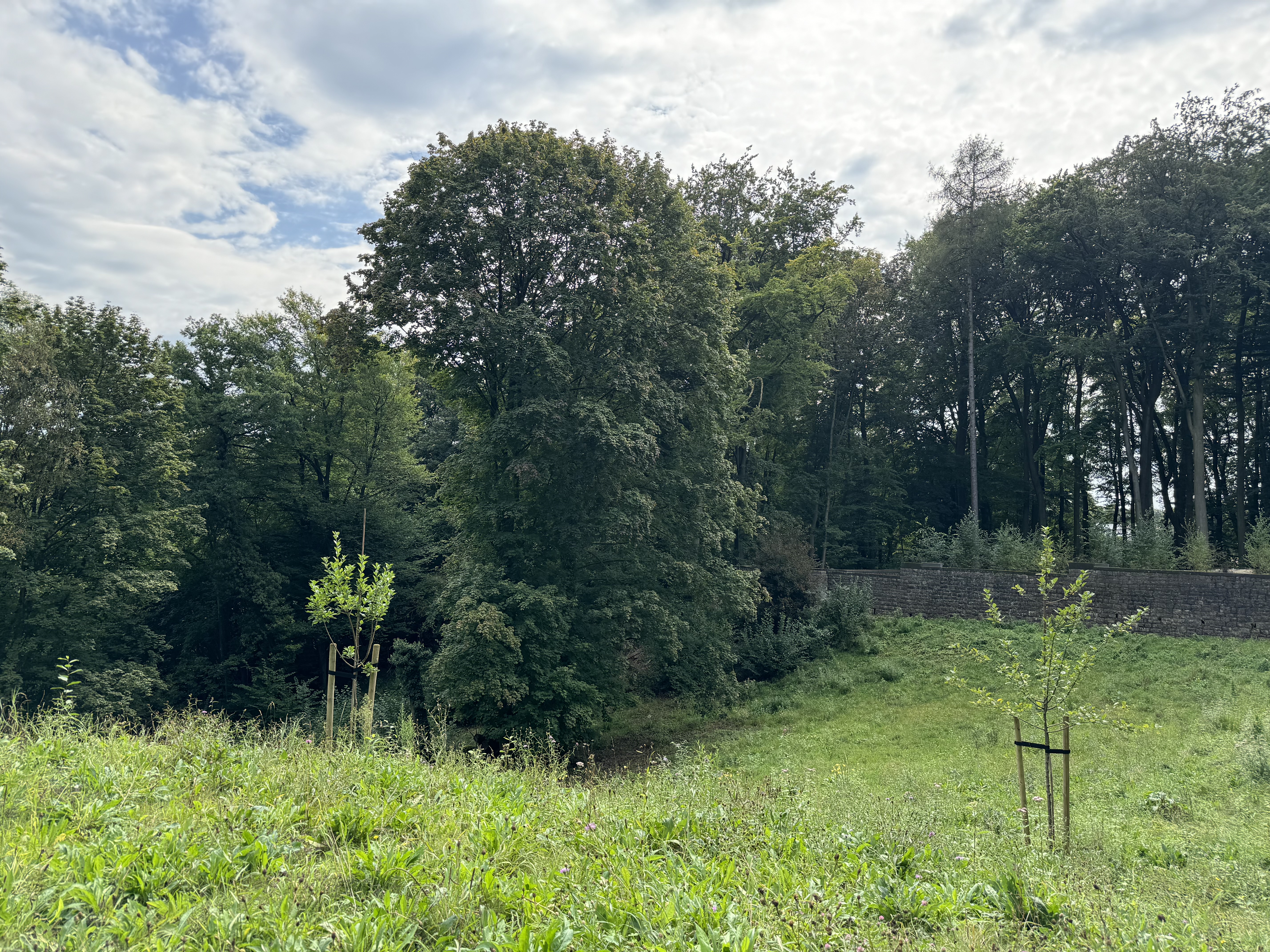 Villa Hohenhof © IGA27 Villa Hohenhof © IGA27
