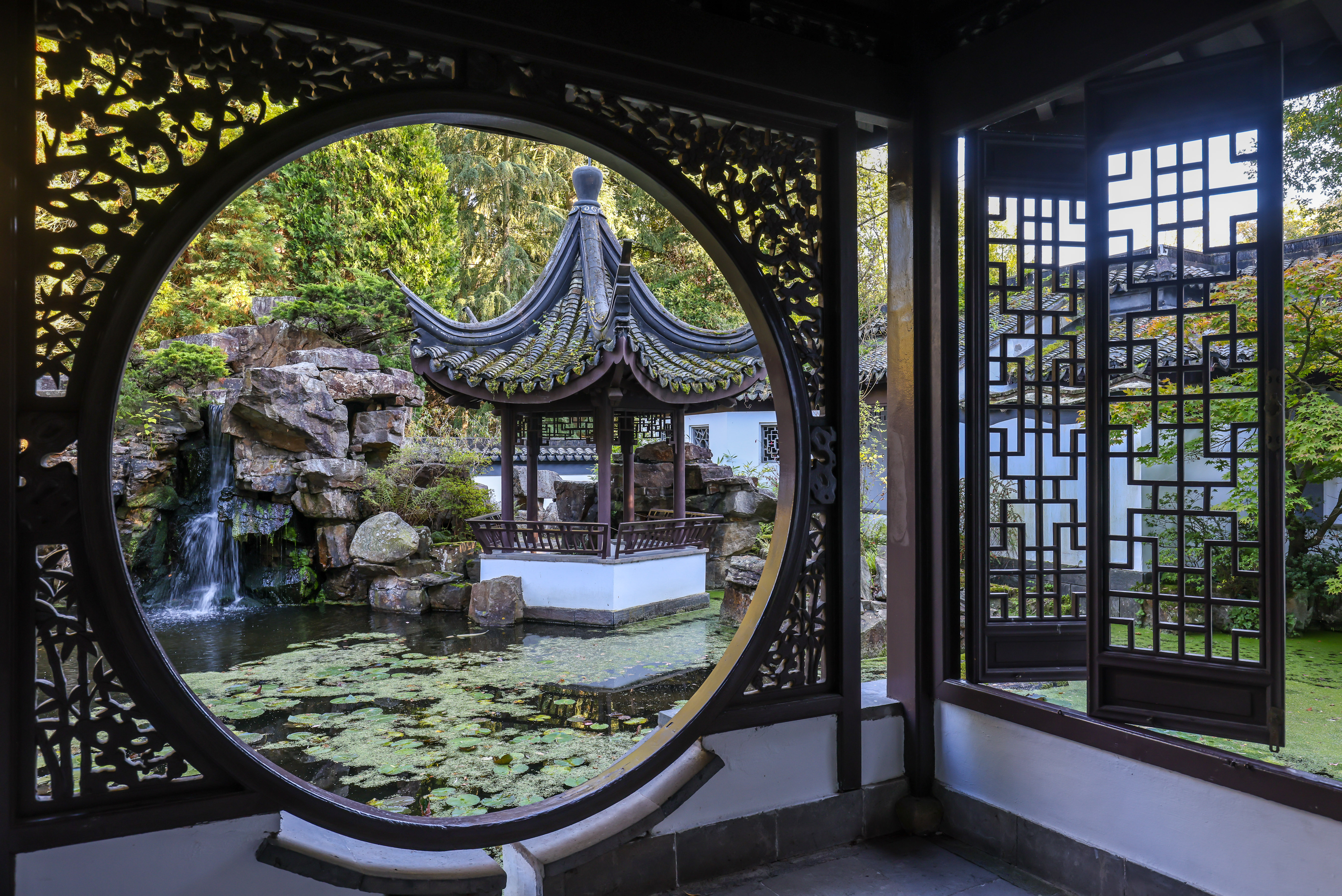 Blick in den botanischen Garten mit kleinem Gewässer und mini Wasserfall