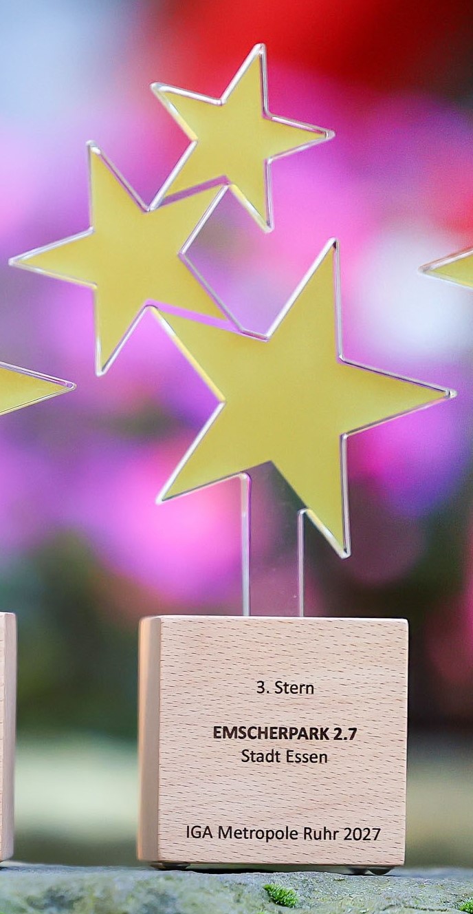 Die "3. Stern" Trophäe mit drei goldenen Sternen und Gravur auf dem Holzblock