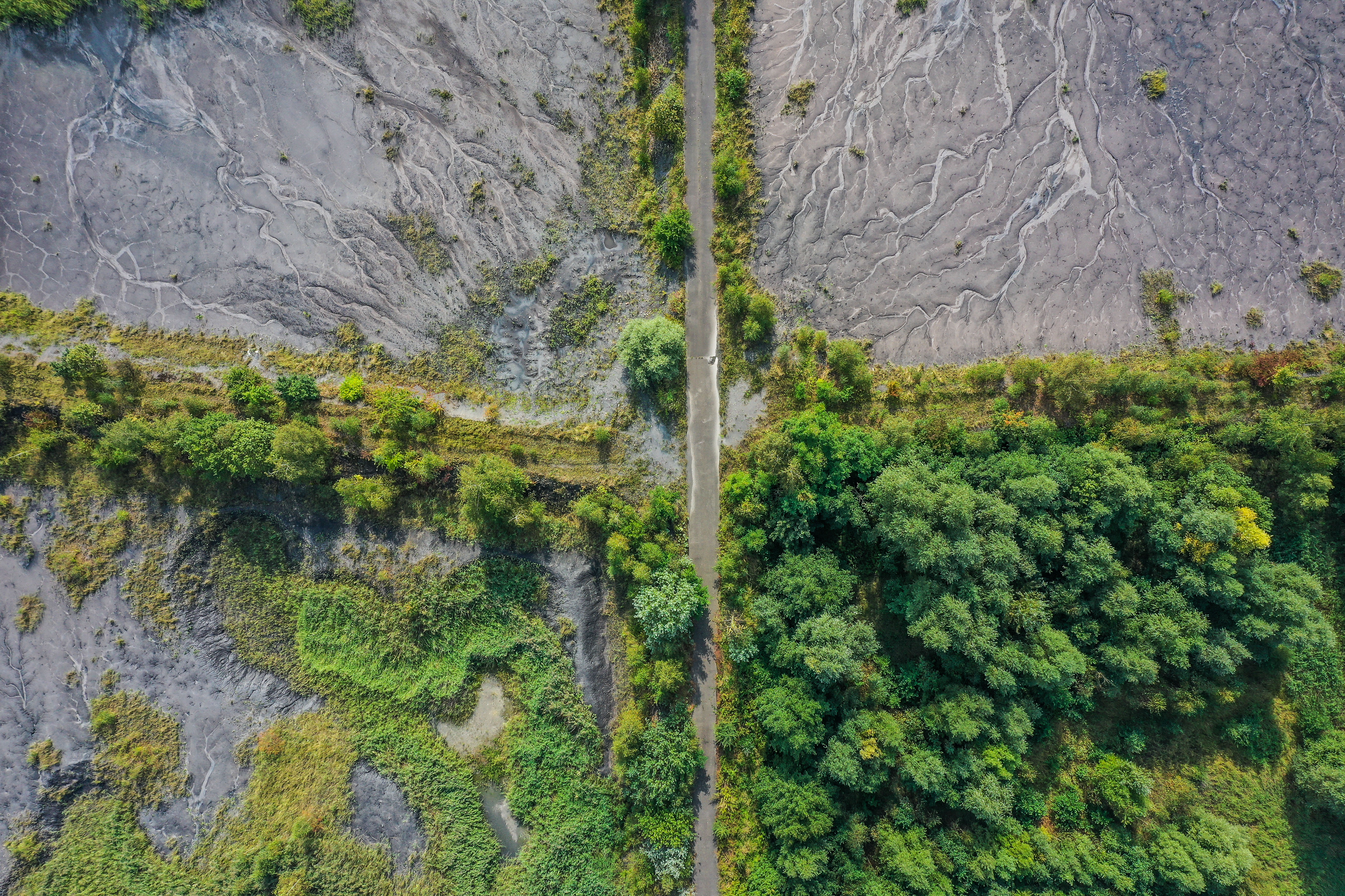 Vogelperspektive auf grüne Bäume und dem Lauf der Natur in Steinen und Boden