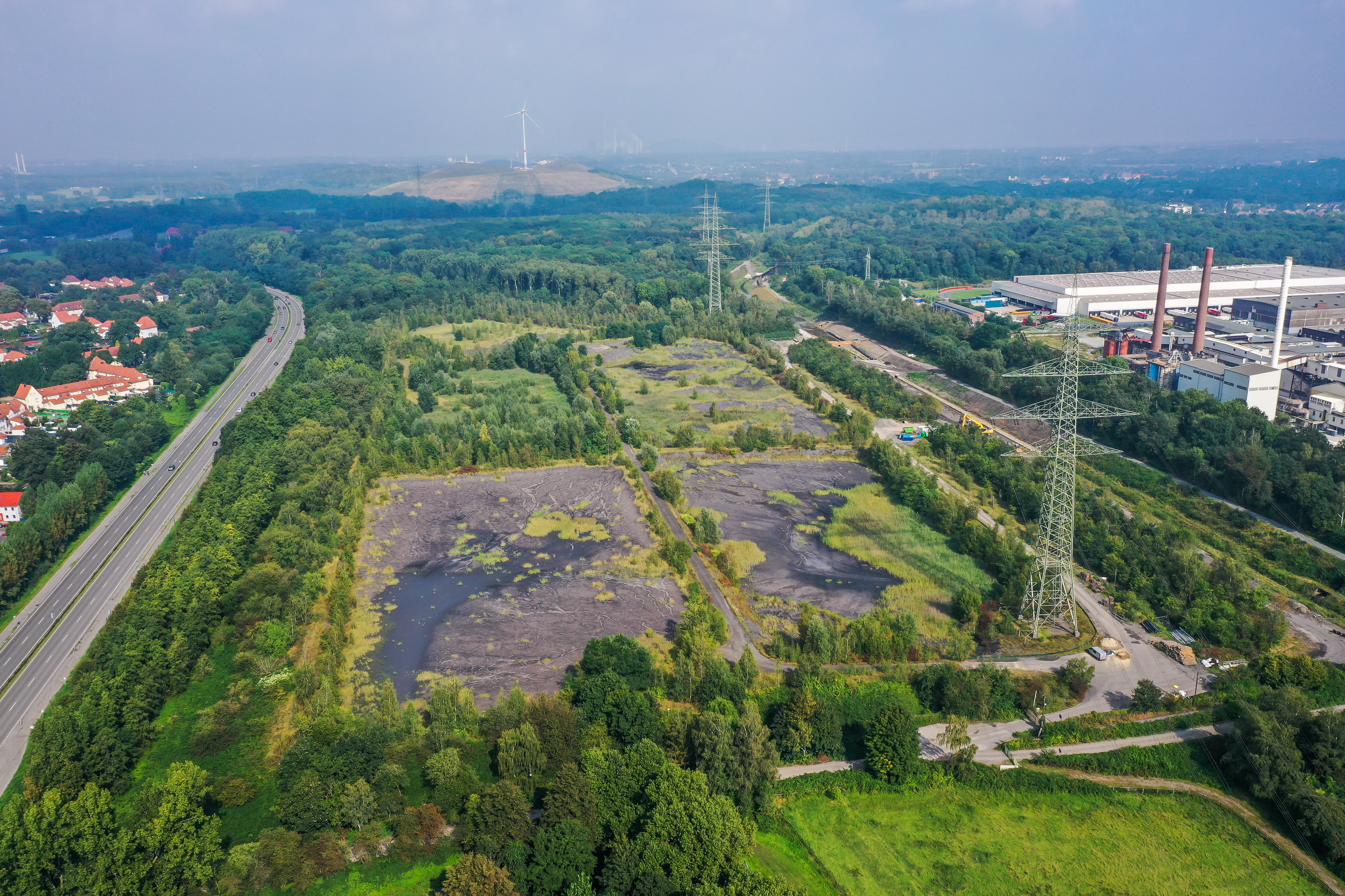 Blick auf das grüne Biotop Flotationsbecken neben der Autobahn