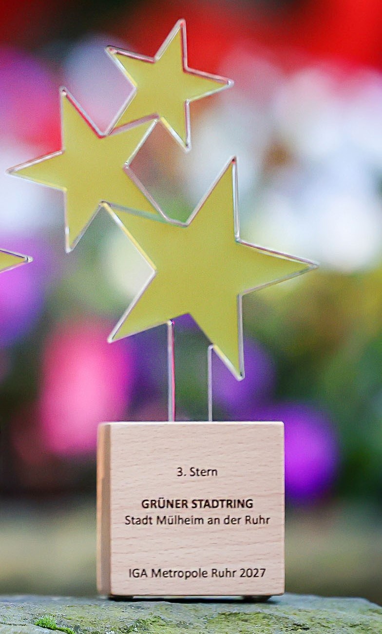 Trophäe mit drei goldenen Sternen auf graviertem Holzblock