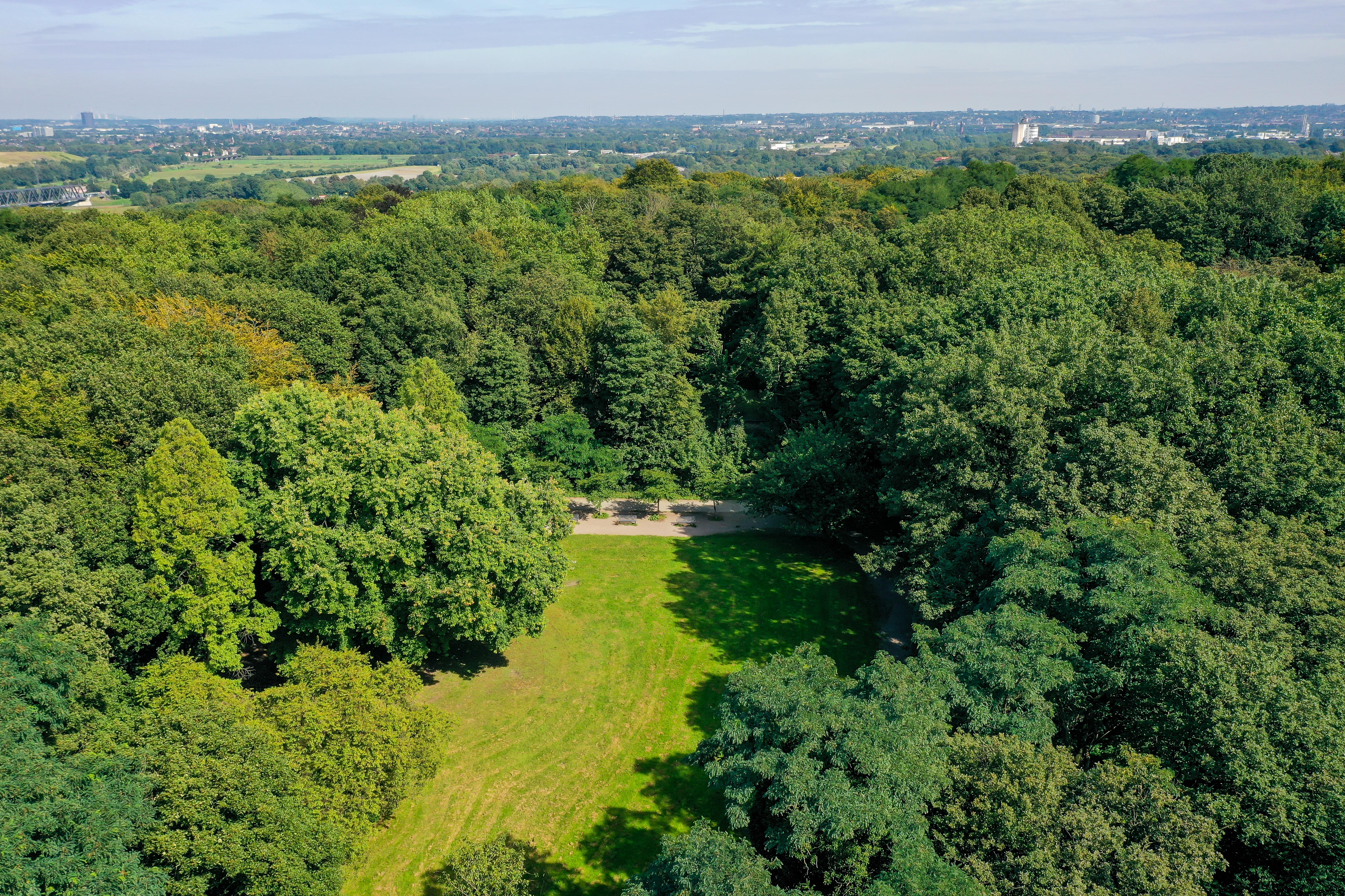 Vogelperspektive auf die Grünfläche im Kaiserbergpark bestehend aus Wiese (mittig) umgeben von dichten Baumkronen