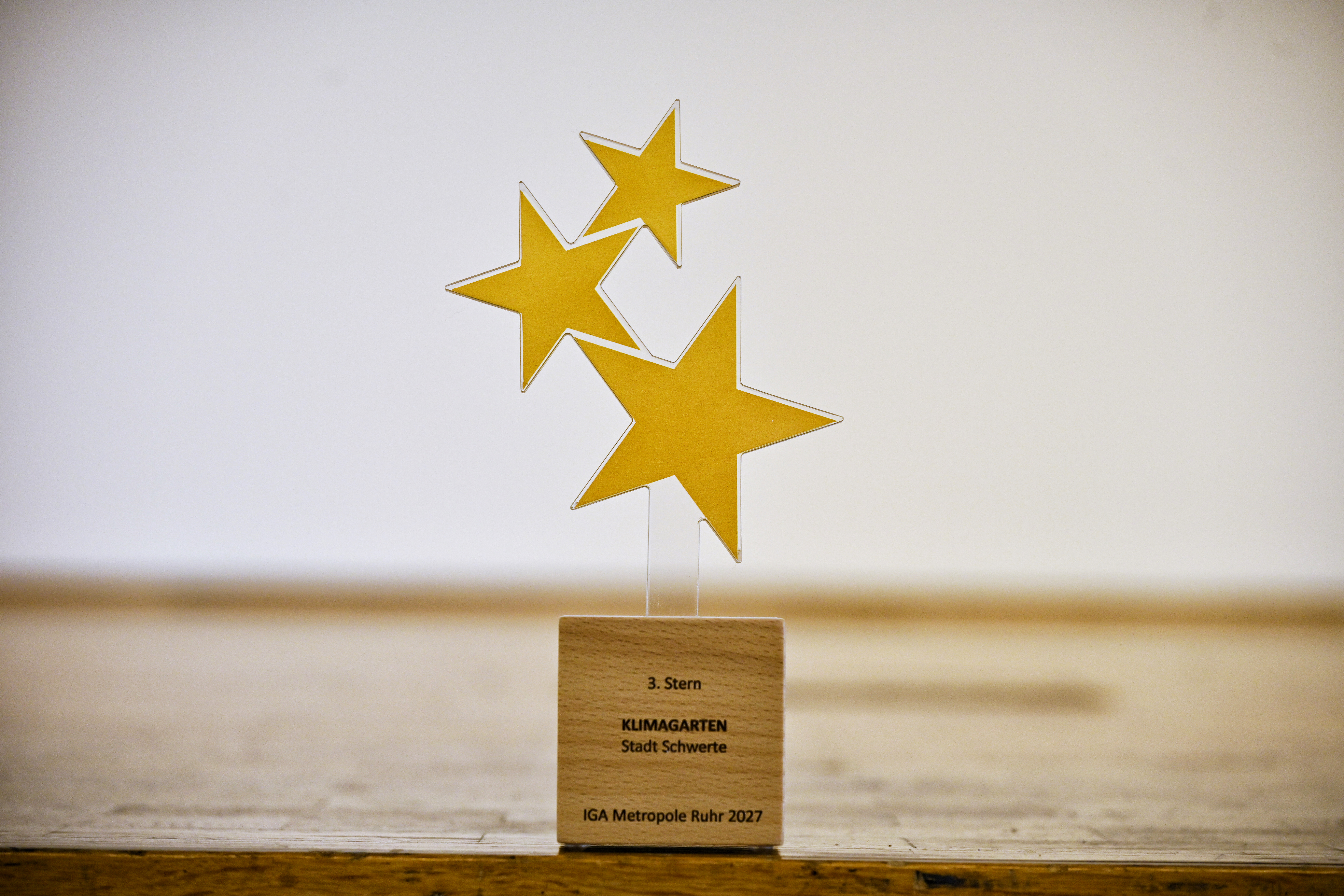 Trophäe mit drei goldenen Sternen auf einem Holzblock mit Gravur 