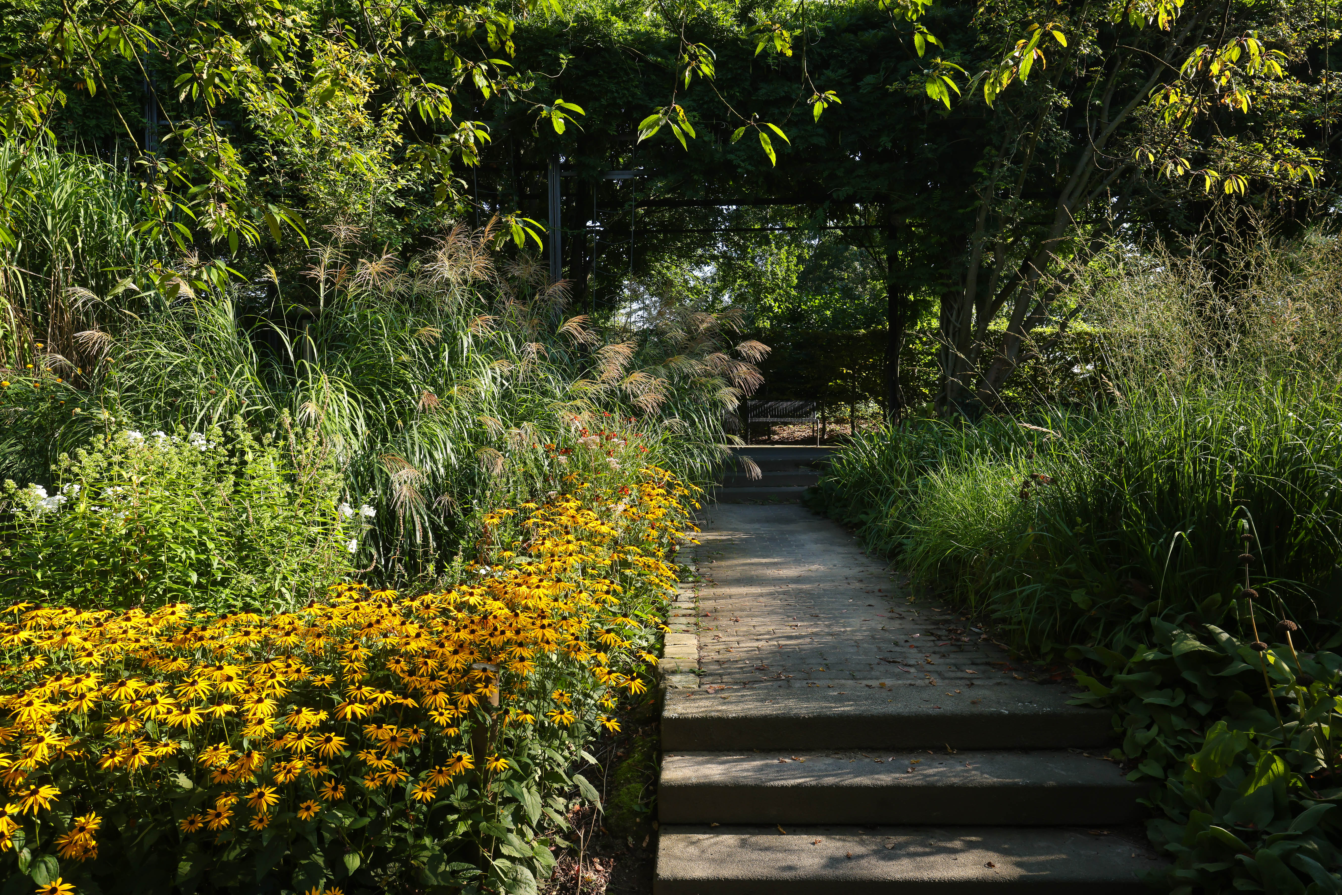 Ein Steinweg mit drei Treppenstufen, daneben Bäume und gelbe Blumen.