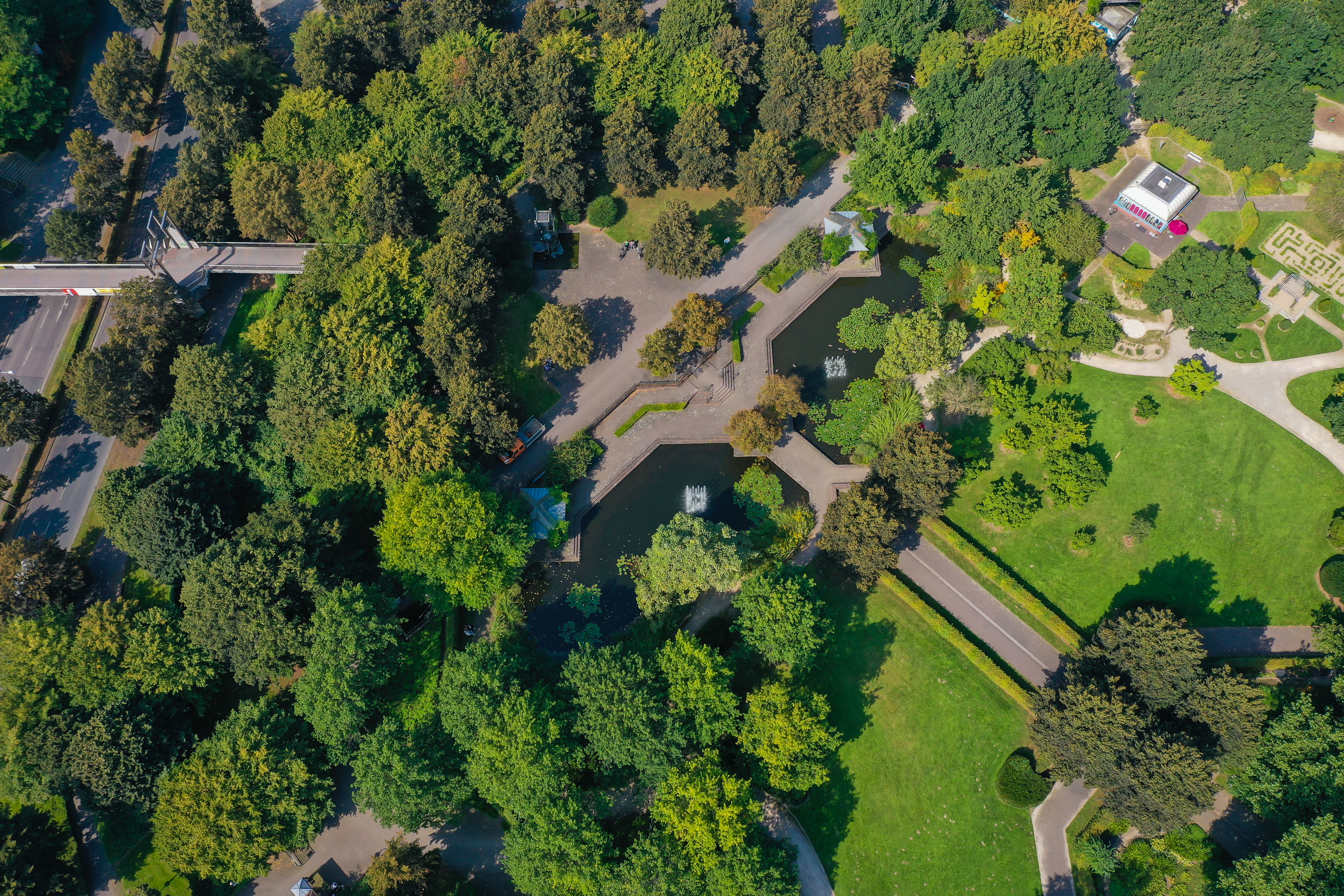 Drohnenperspektive auf einen Stadtgarten umgeben von Bäumen