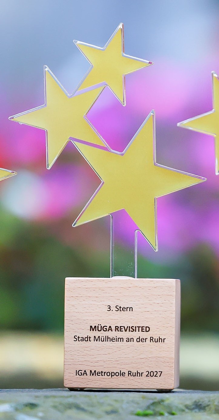 Trophäe mit drei goldenen Sternen auf graviertem Holzblock