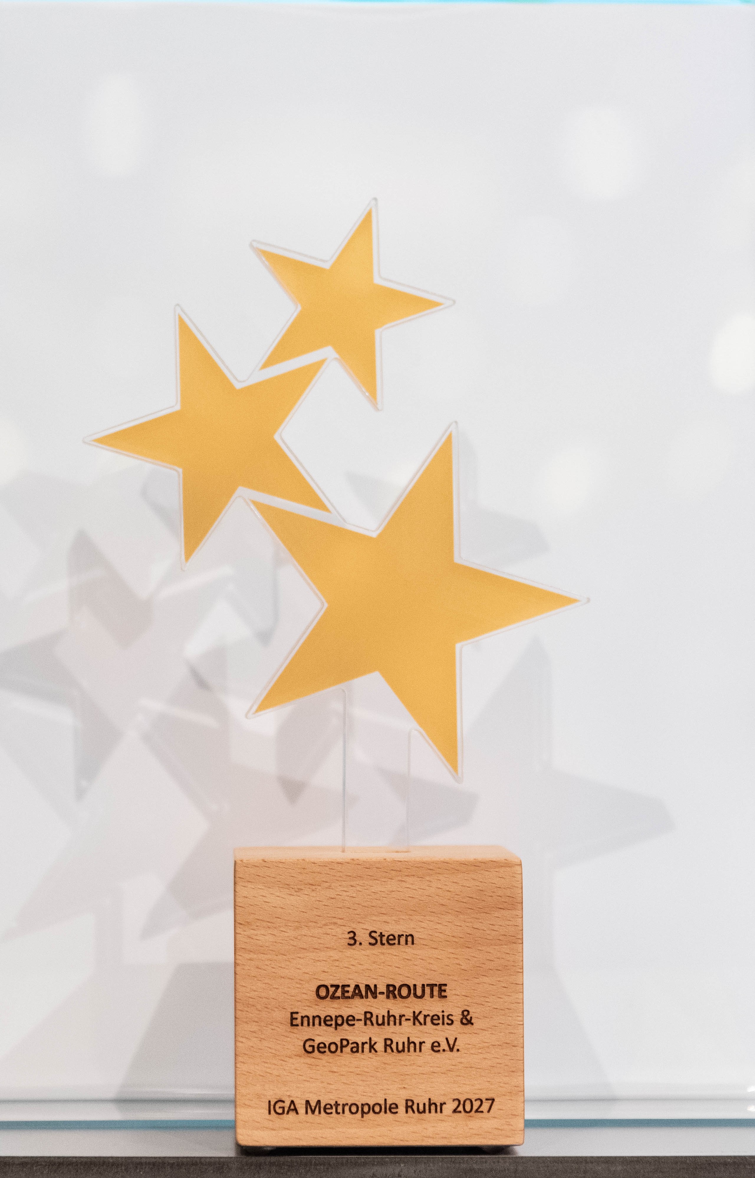 Ein Pokal mit drei und eingraviertem Titel auf dem Holzblock