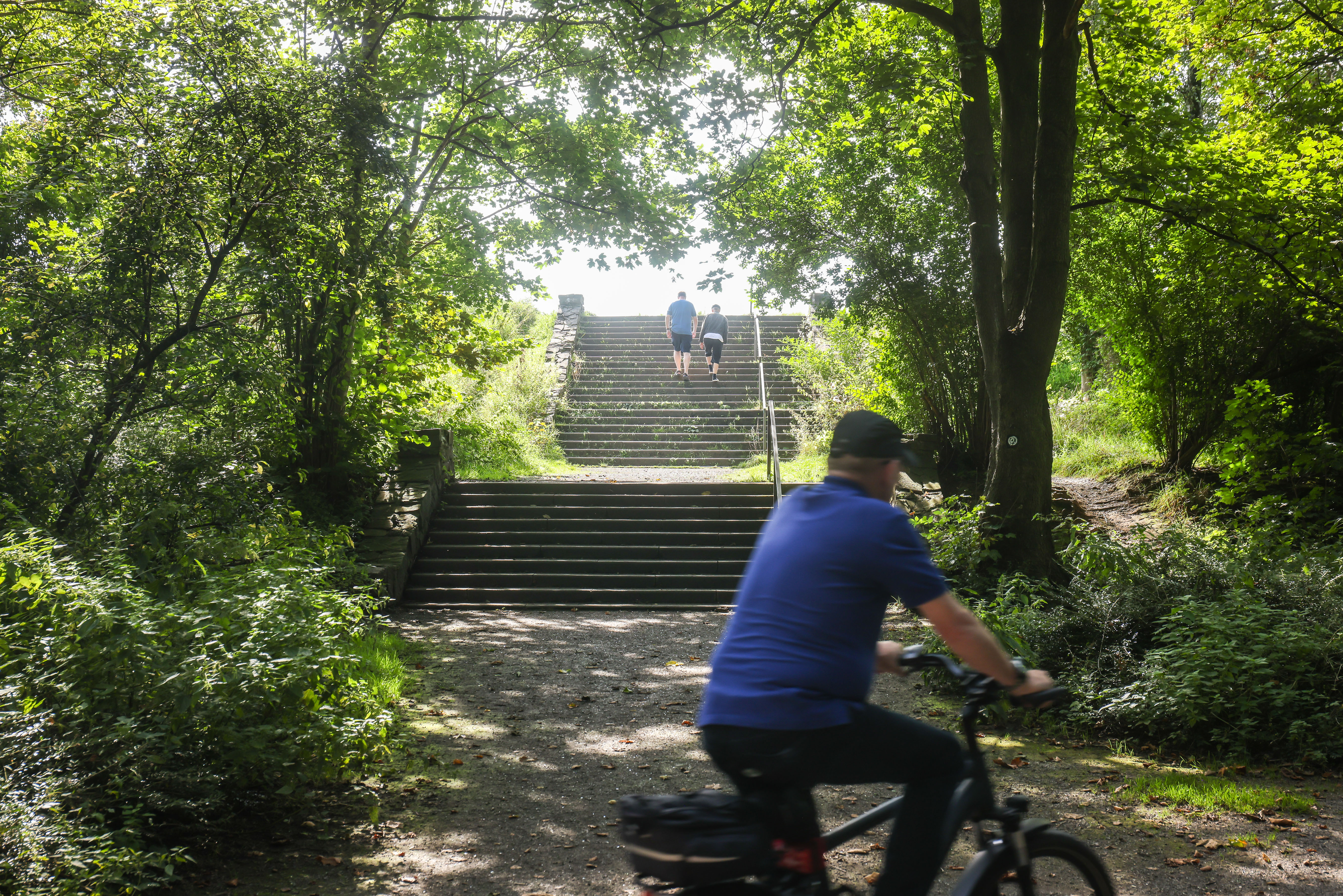 Ein Fahrradfahrer auf einem Waldweg vor einer Treppe, die zwischen Bäumen hinaufführt