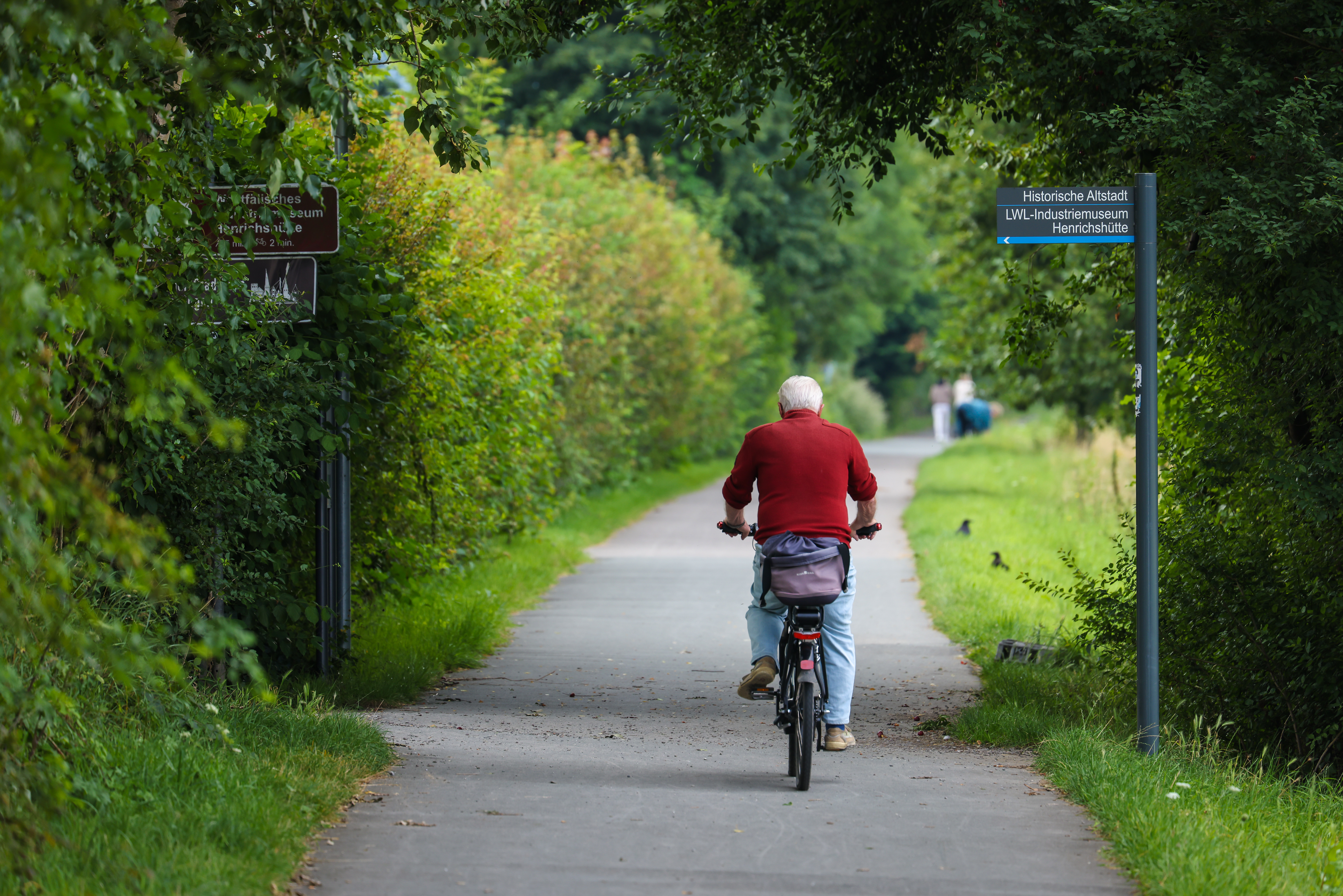 Ein Mann mit rotem Pulli auf einem Fahrrad. Fotografiert von hinten, er fährt auf einem Fahrradweg umgeben von Bäumen.