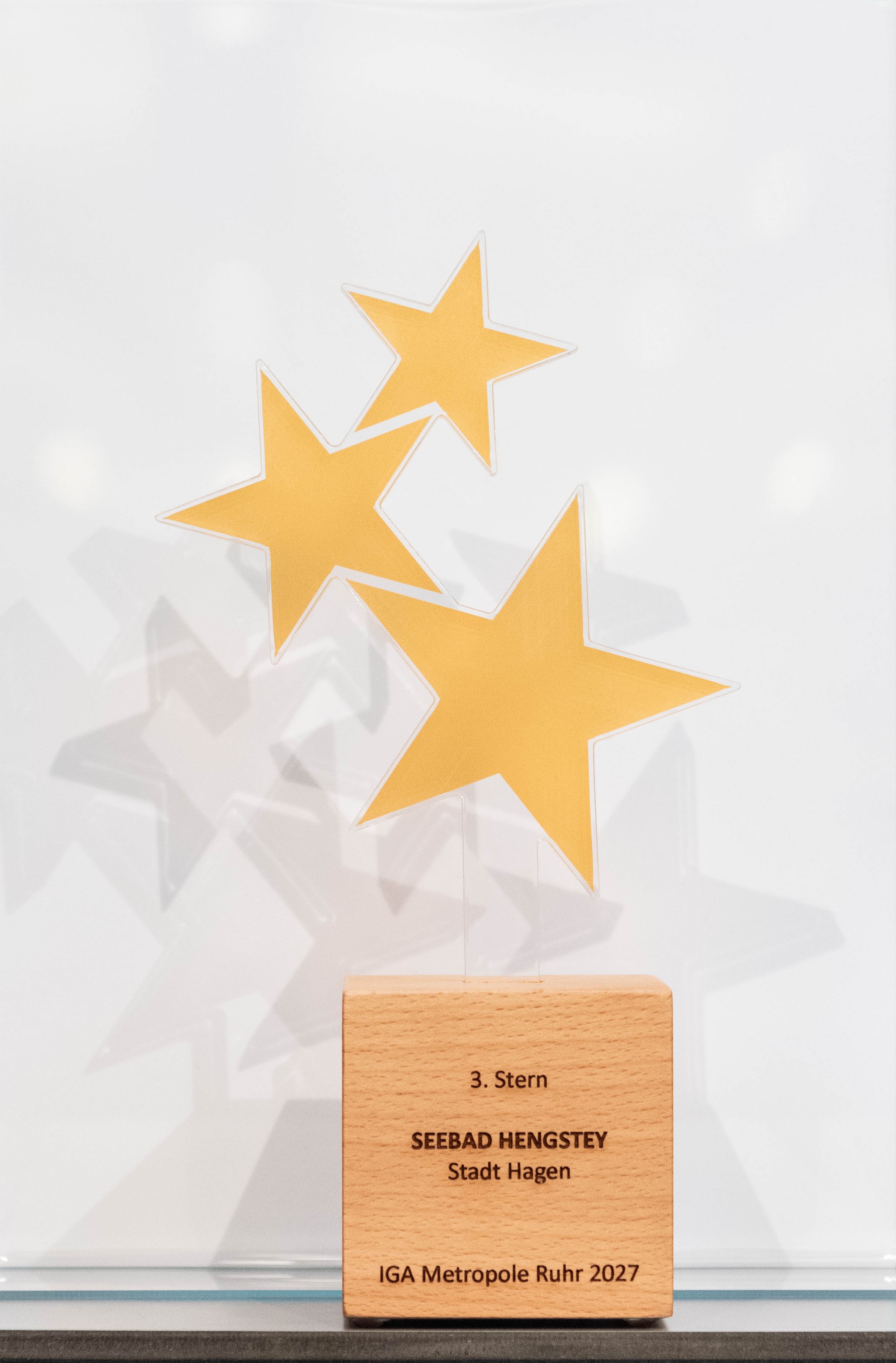 Pokal mit drei Sternen auf graviertem Holzblock