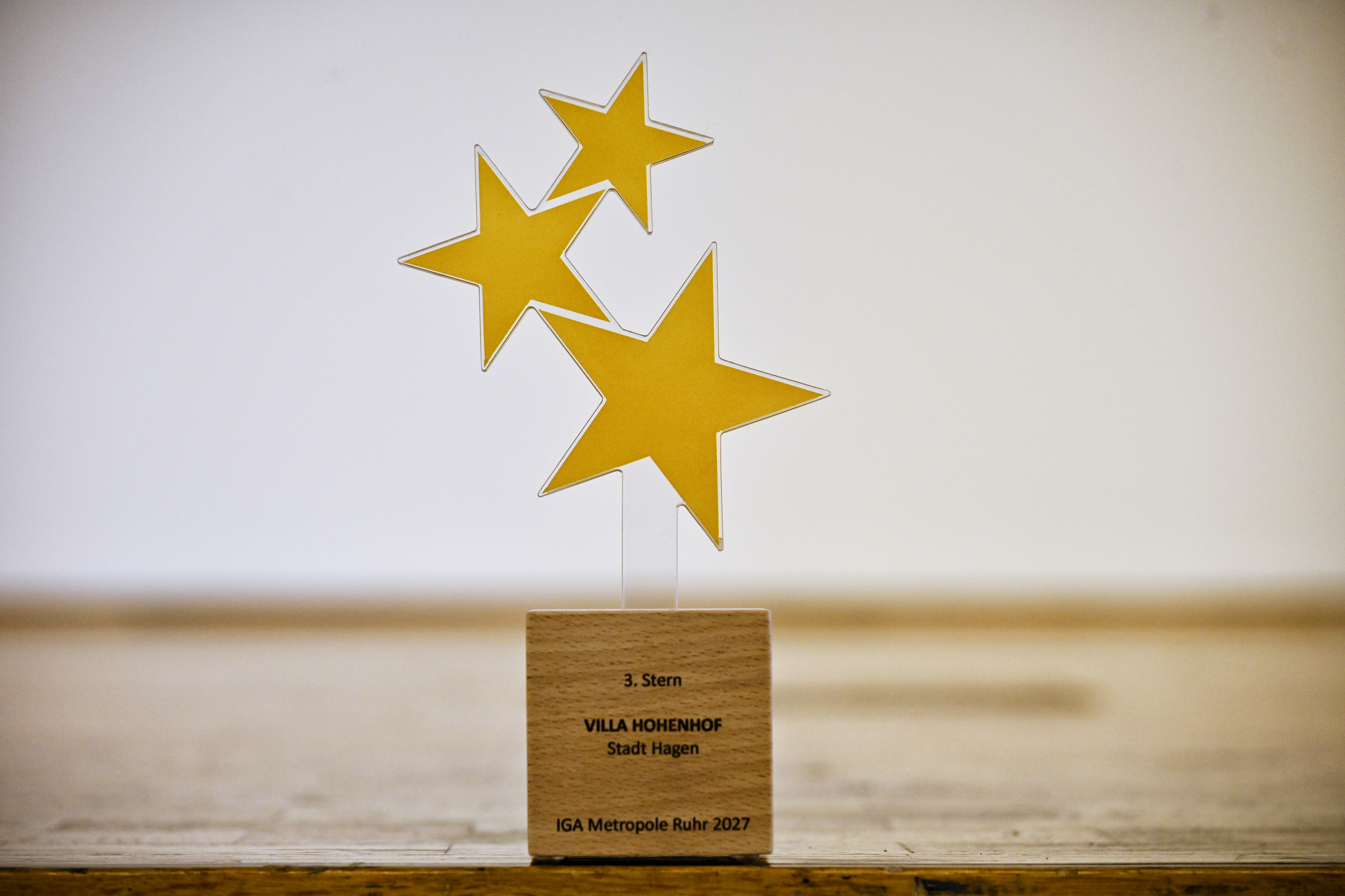 drei Sterne als Pokal auf einem gravierten Holzblock