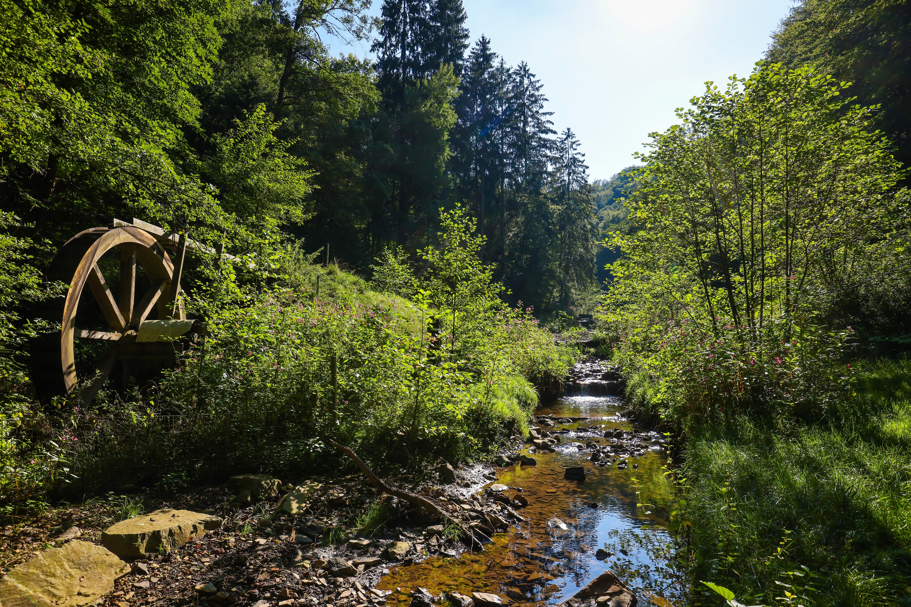 Links ein großes Mühlenrad und in der Mitte ein Bach umgeben von Sträuchern und Bäumen.